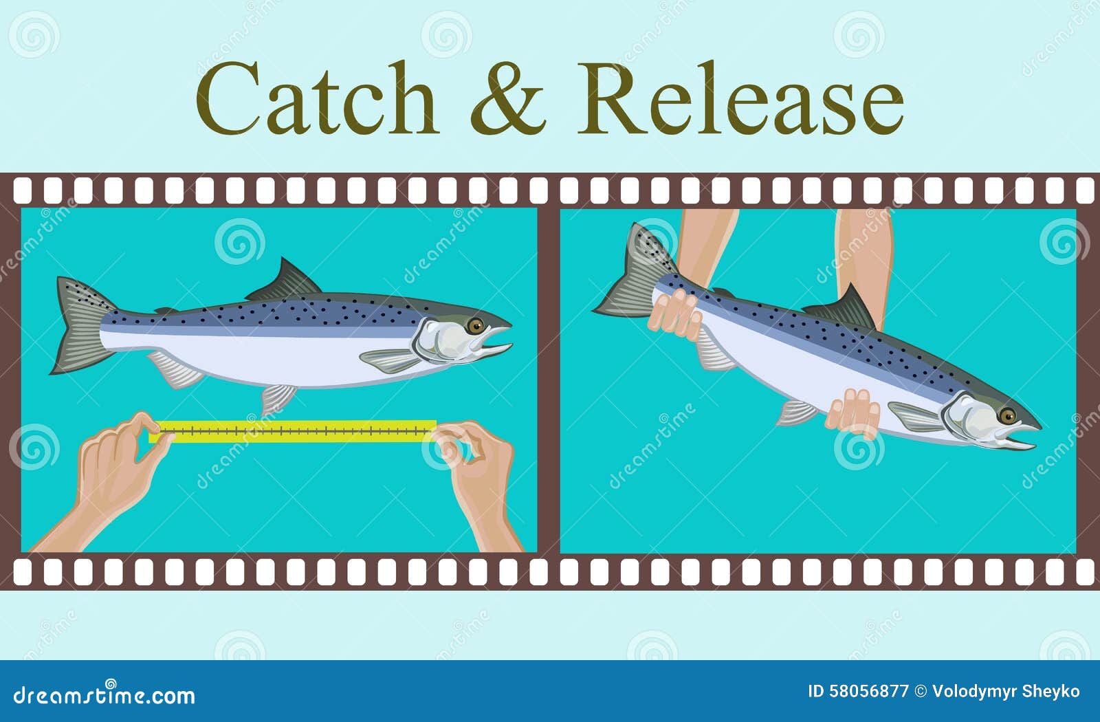 Download Vector Illustration.Measurement Of Fish Caught And Release Her. Stock Vector - Illustration of ...