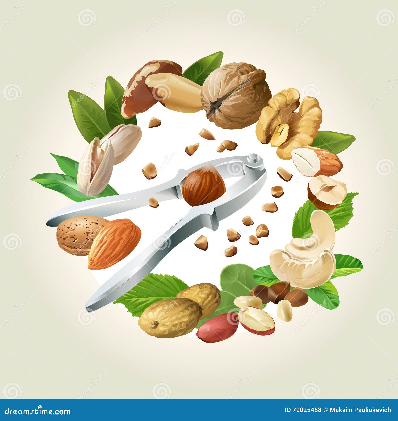 Vector Illustration of Nutcracker and Nuts Stock Vector Illustration