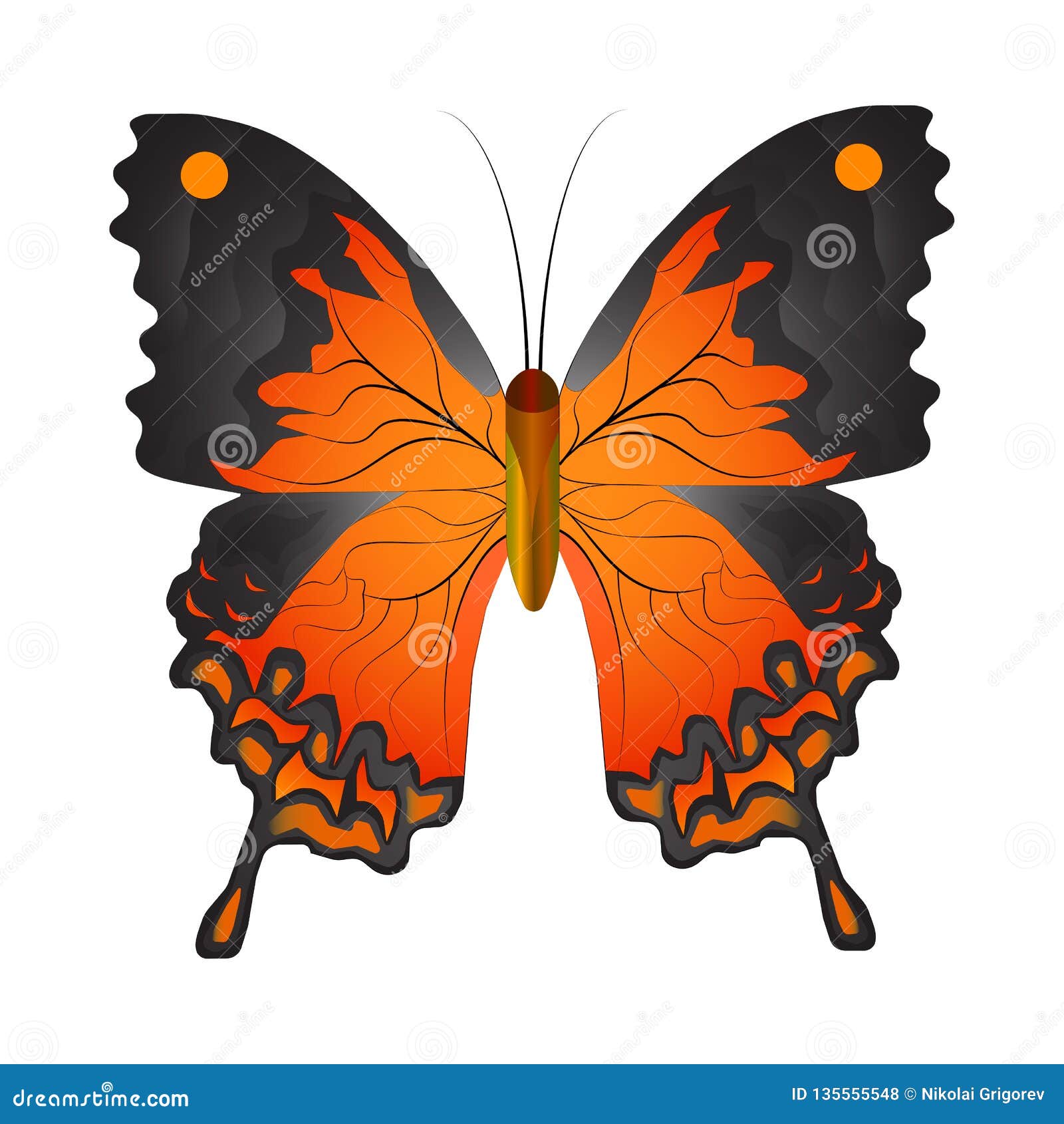 Download Vector Illustration Of A Orange Butterfly Stock Vector ...