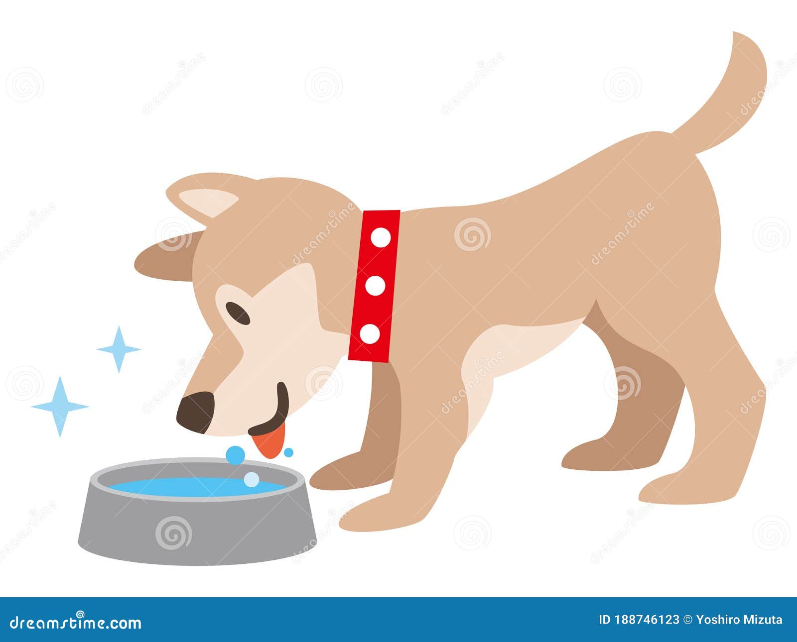 Illustration of a Dog Drinking Water Stock Vector - Illustration of water,  lifestyle: 188746123