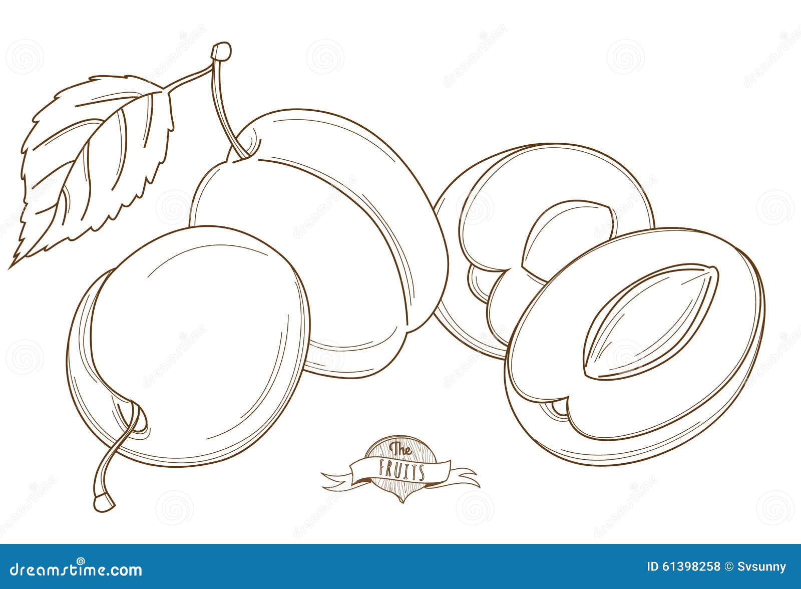 Vector Illustration Outline Hand Drawn Plum (flat Style, Thin Li Stock