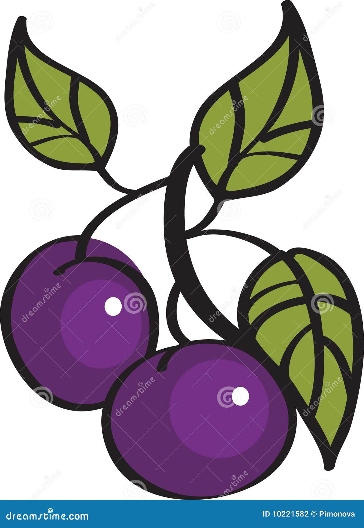 Plums Cartoons, Illustrations & Vector Stock Images 6755 Pictures to