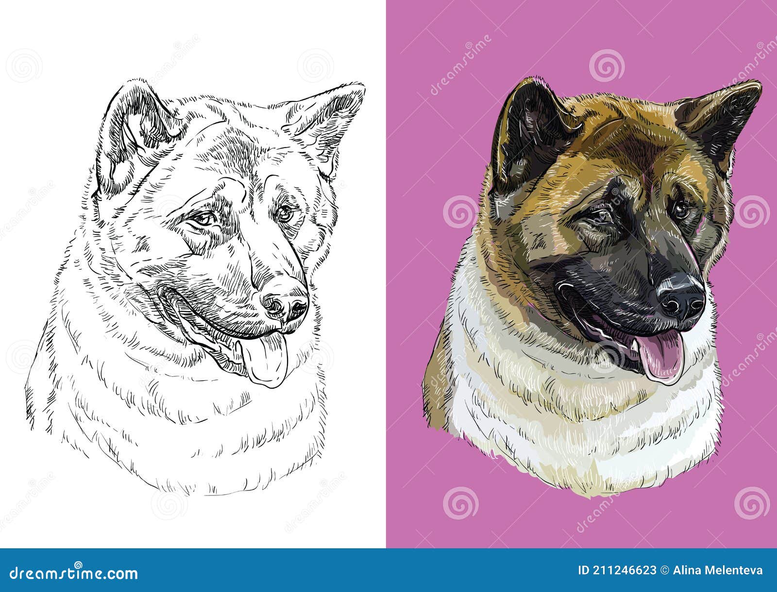 Vector Illustration Portrait of Dog American Akita Stock Vector ...