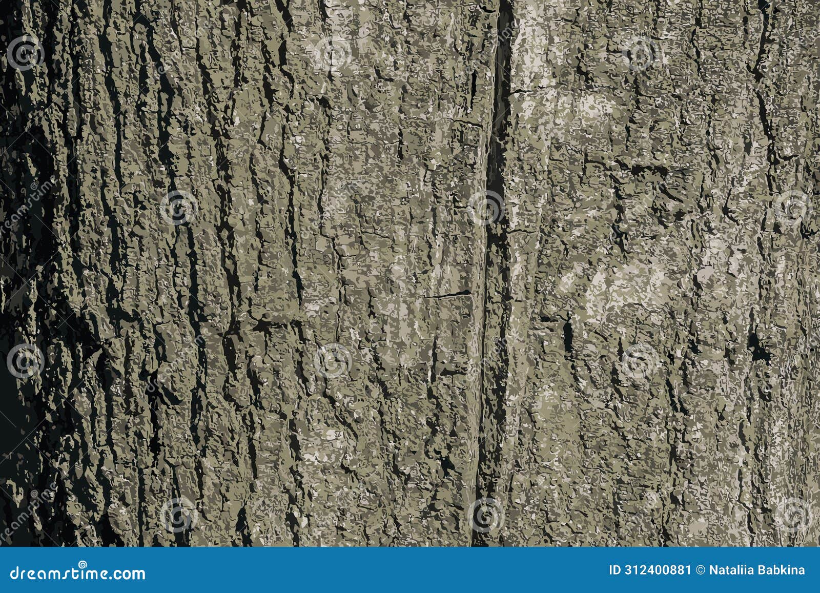   of quercus coccinea bark background. oak bark texture