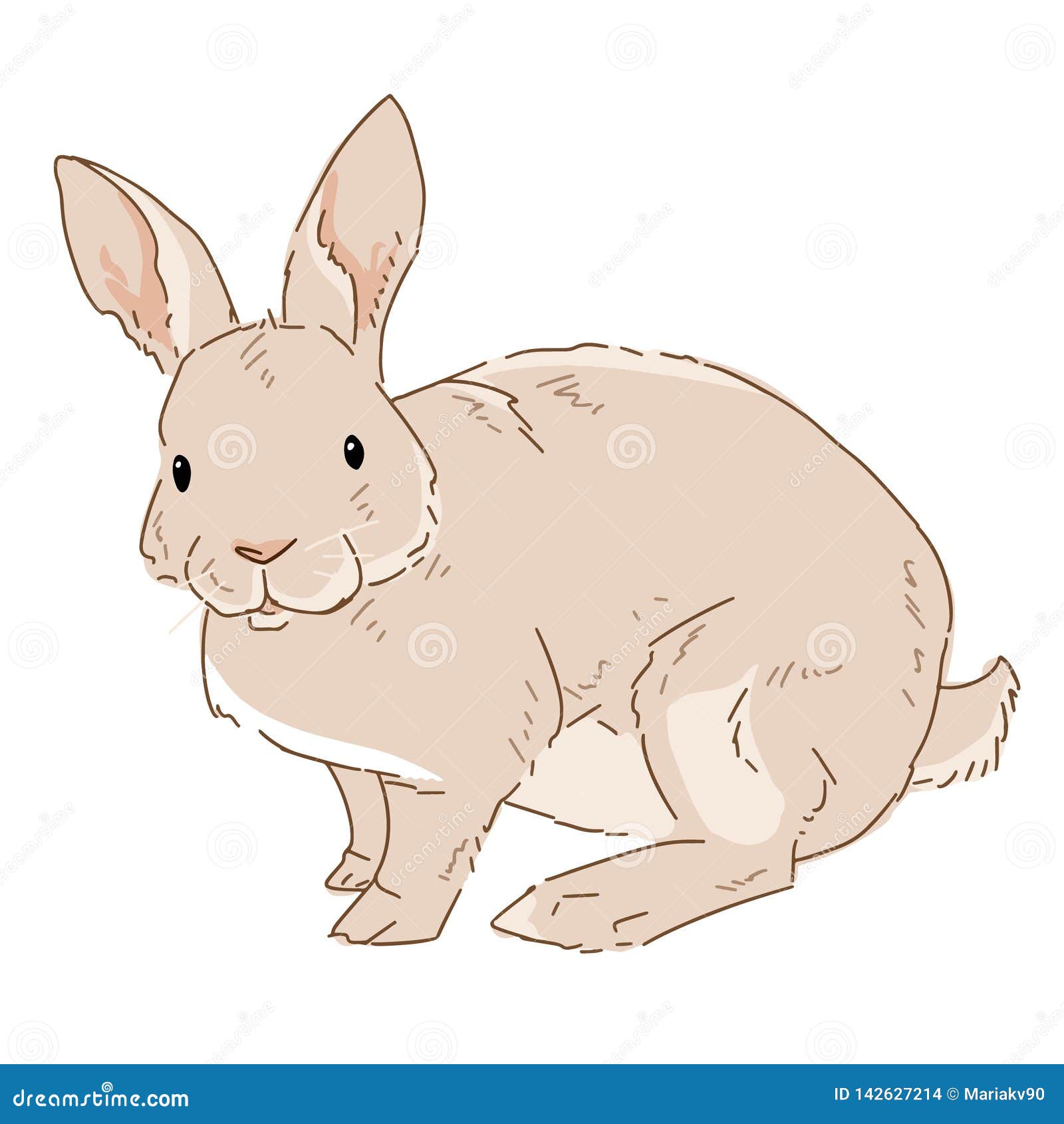 Vector Illustration Of Rabbit On White Background Drawn Bunny In Color Animal Clipart Drawn By Hand Stock Vector Illustration Of Domestic Furry 142627214