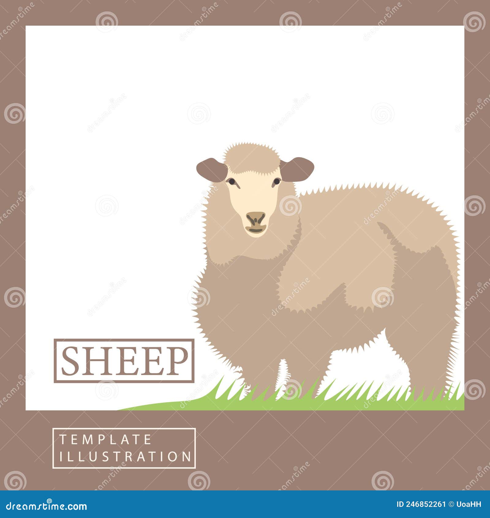 realistic colorful herd sheep in a flat style. modern trendy minimalist  template on fauna theme with text
