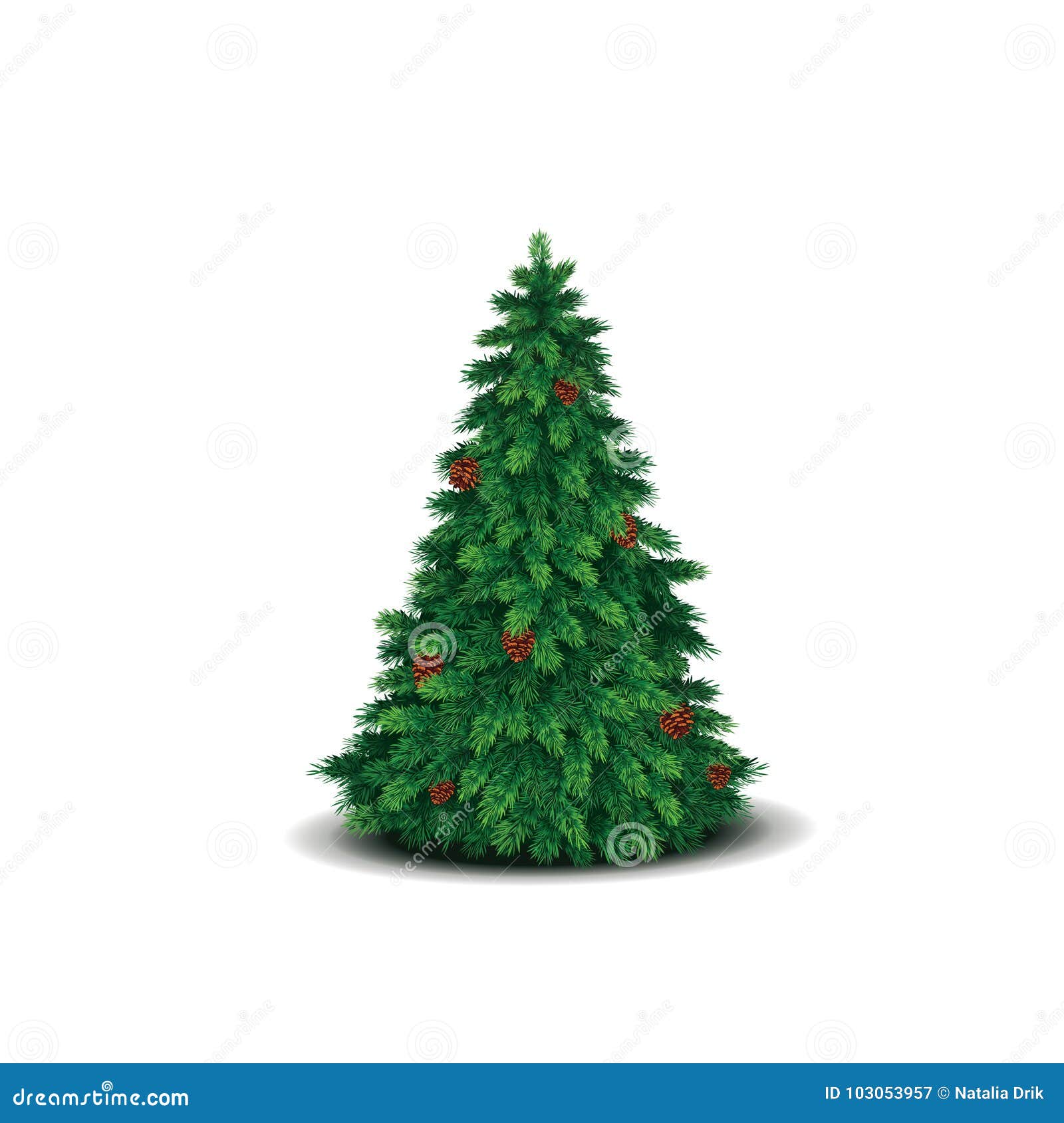 Christmas Tree With Lush Green Branches And Cones Stock