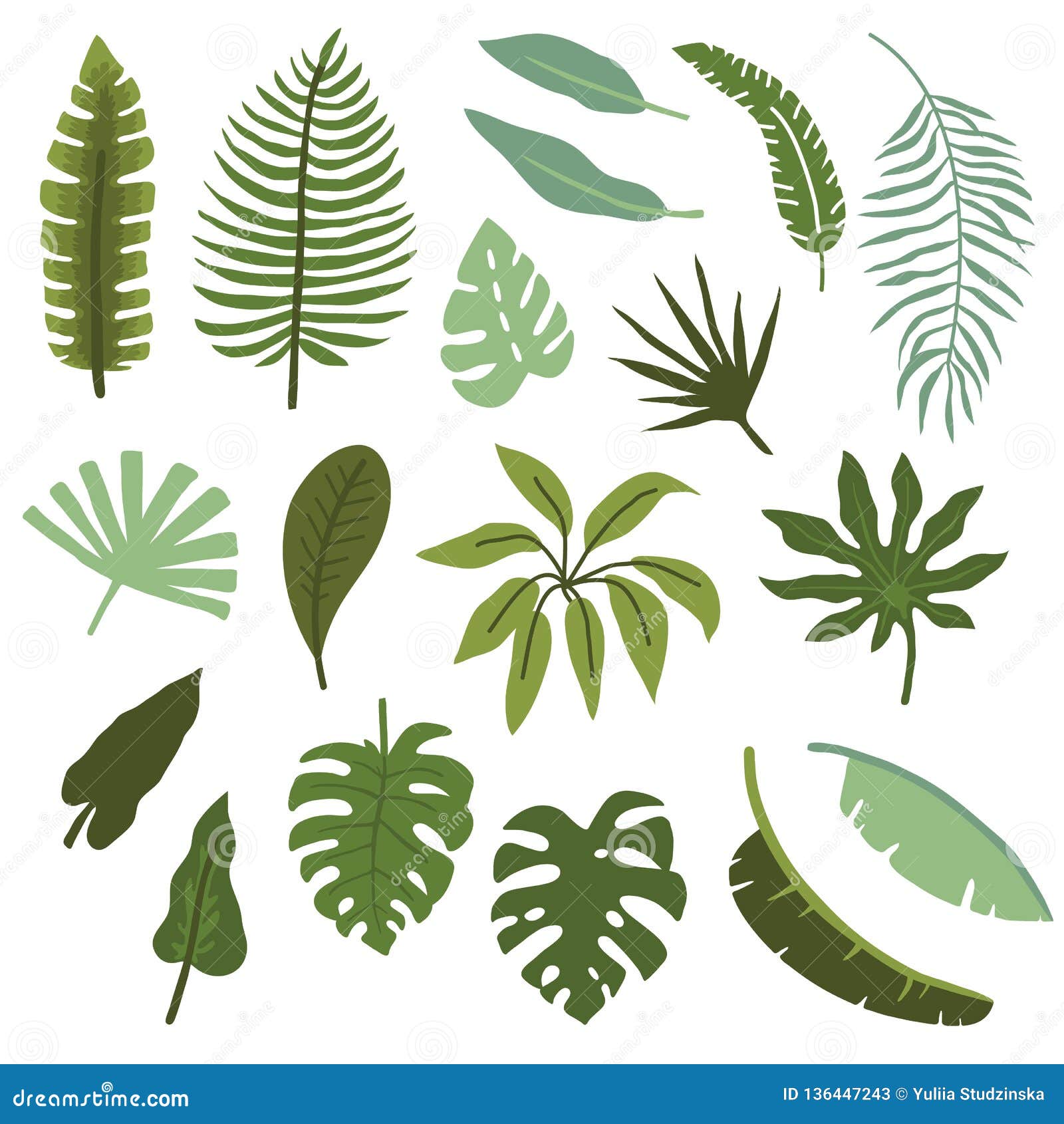 Cute Tropical Set of Leaves Stock Vector - Illustration of backdrop ...