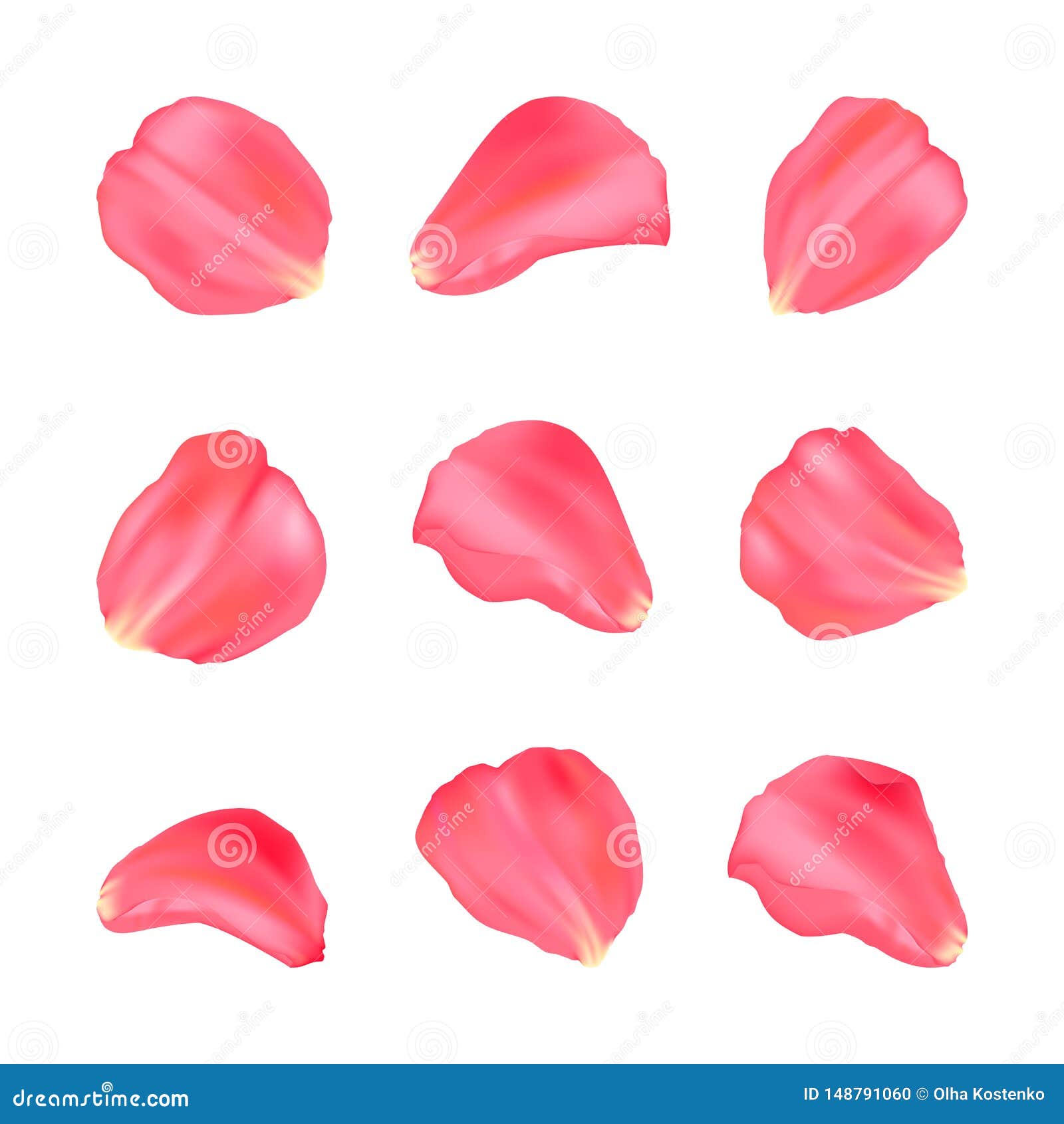 Vector Illustration. Set of Nine Rose Petals. Elegance Rose Petals for