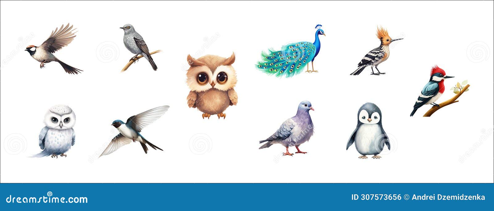   set of various birds sparrow, grey bird, owls, peacock,swallow, pigeon, penguin-like bird