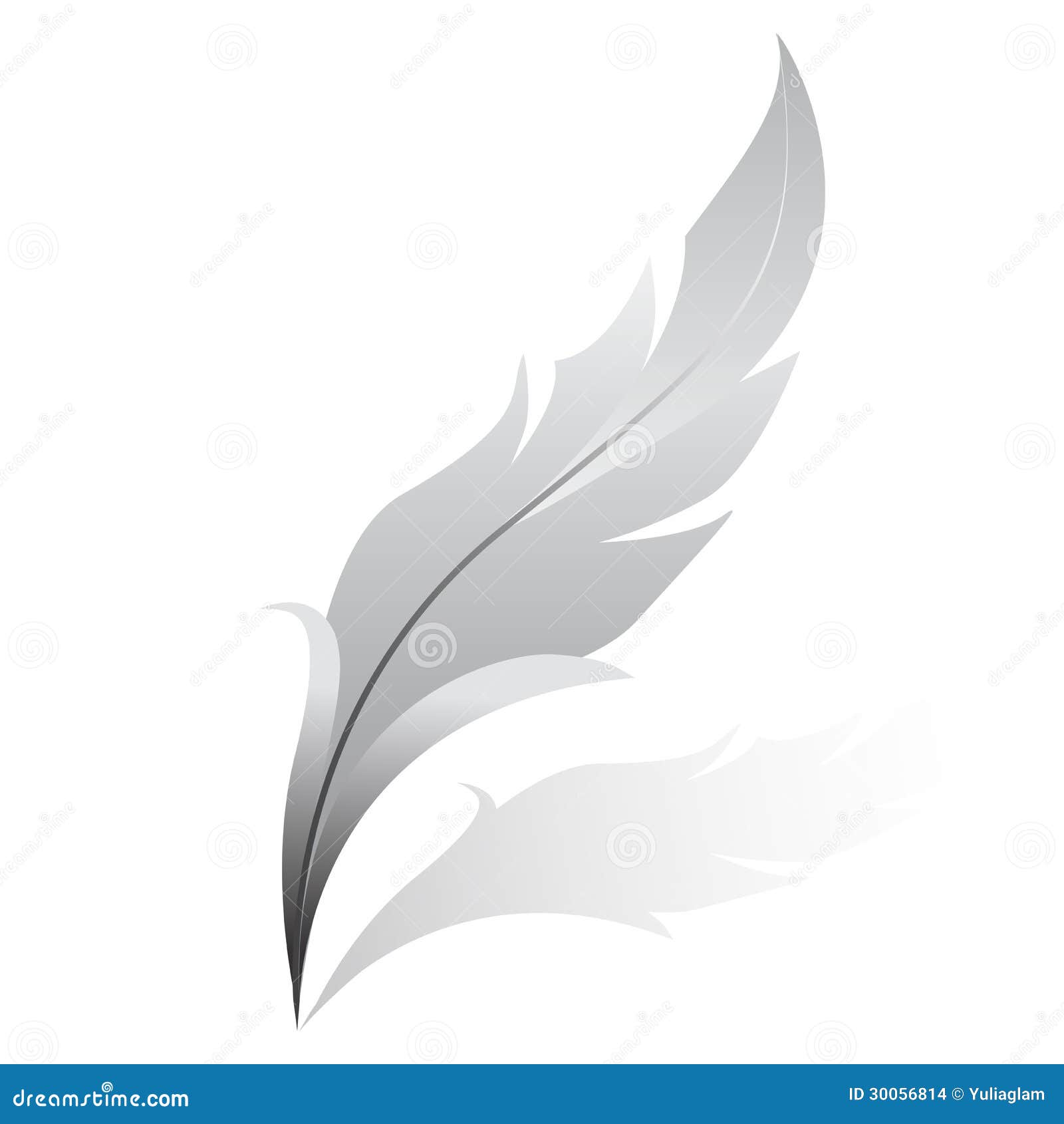 Silver Feather Stock Images Image 30056814