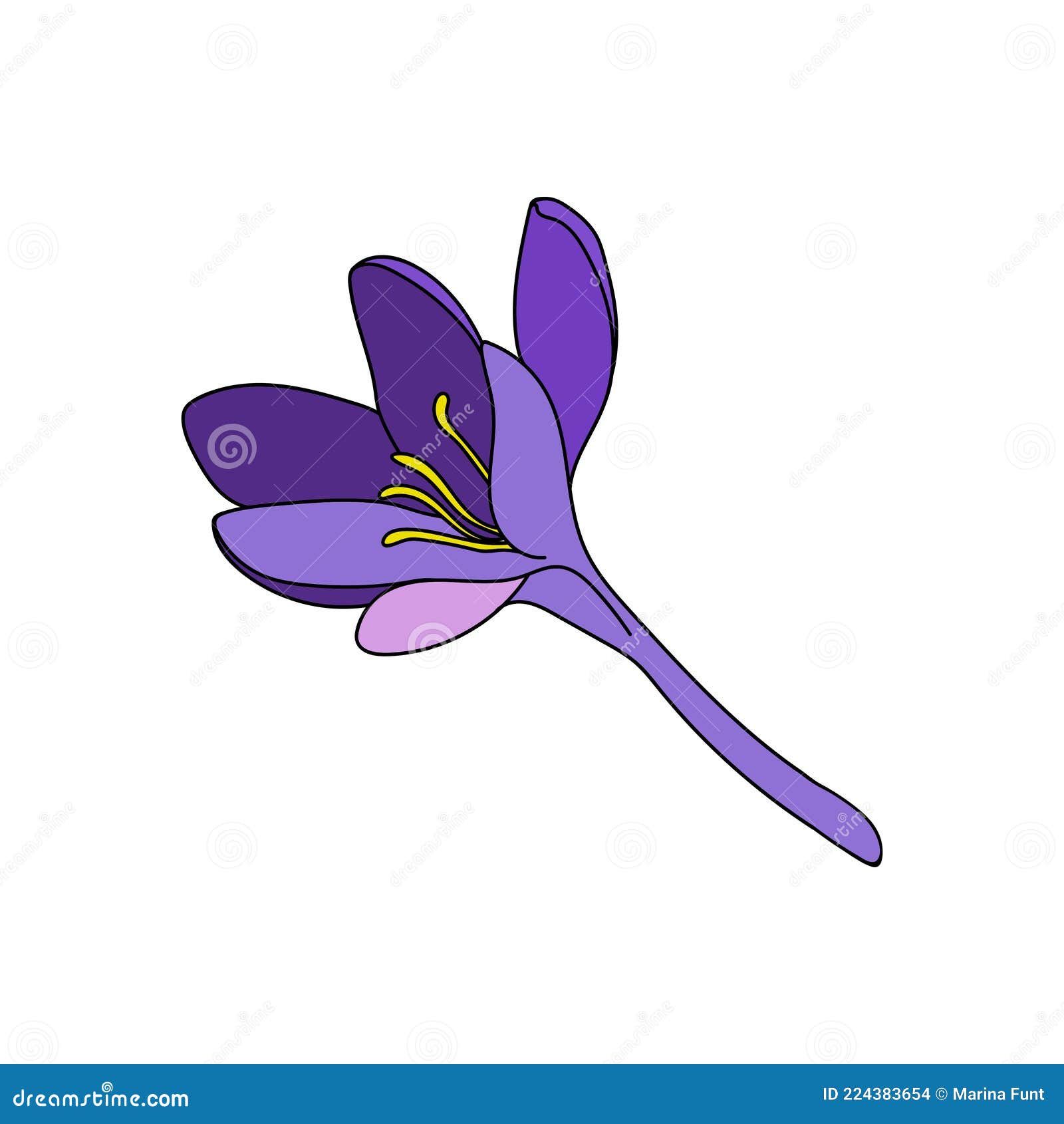 Vector Illustration of a Single Color Crocus Saffron Flower Linear