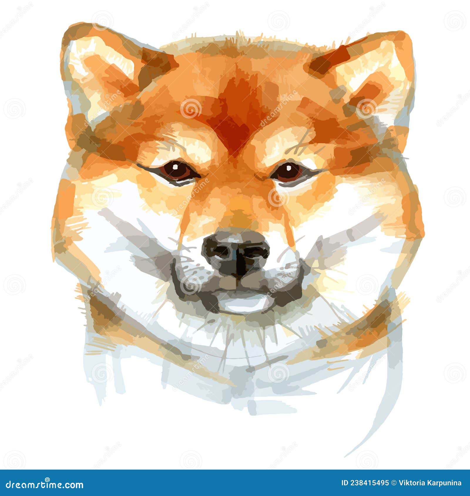  of sketch markers of collie portrait.