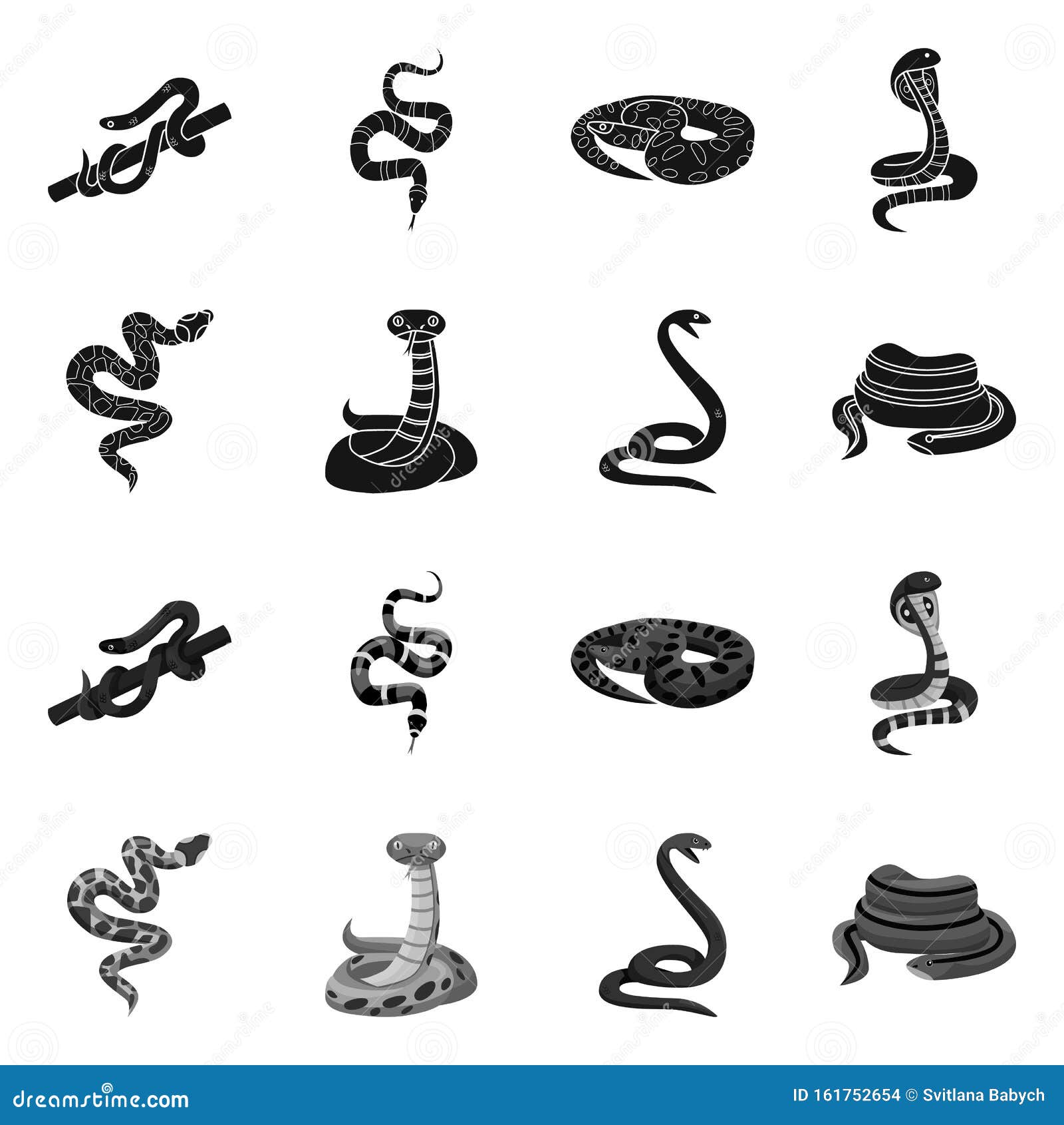   of snake and creepy sign. set of snake and wildlife stock  for web.