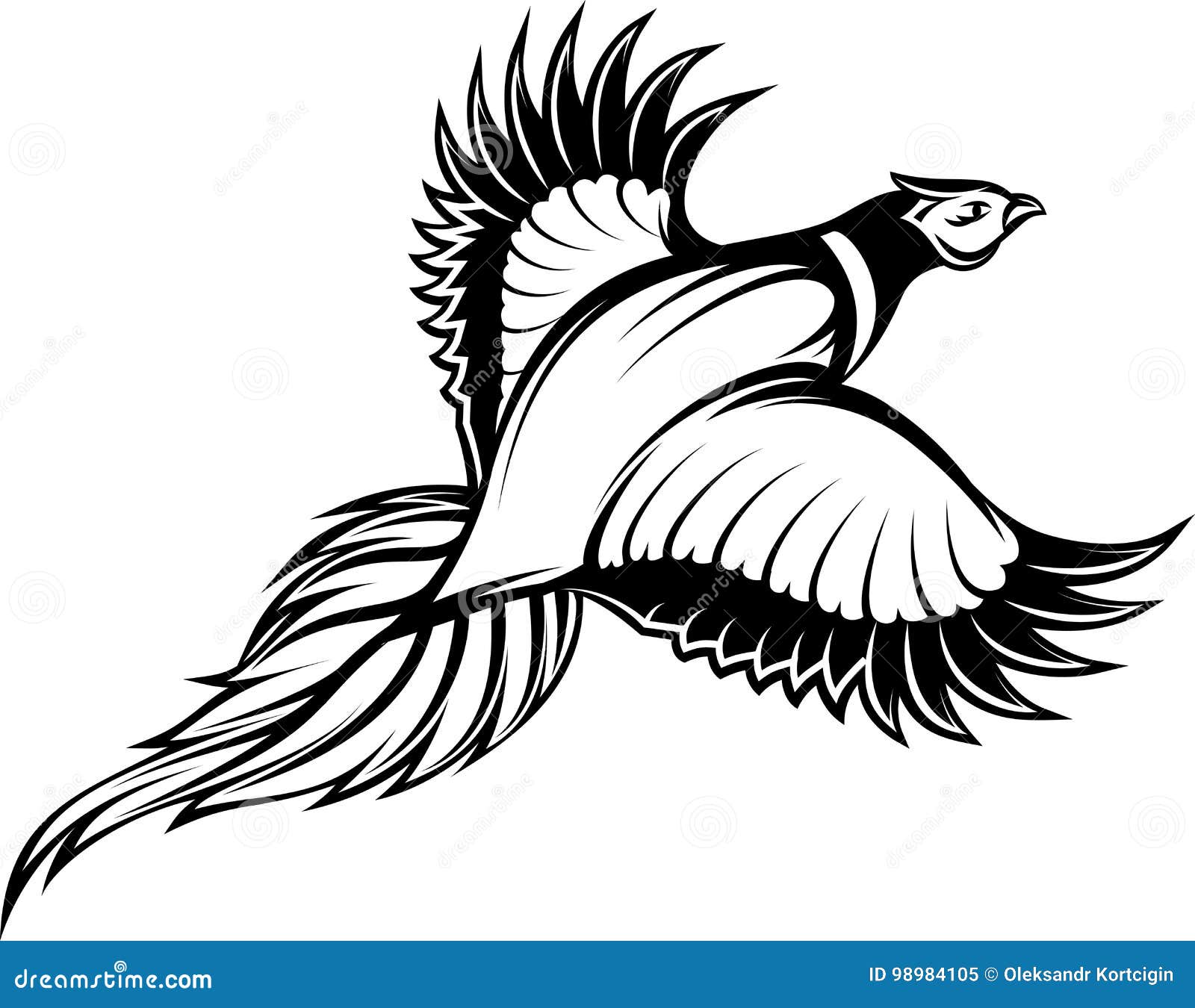 Flying Pheasant. Vector Black Image Of Bird Isolated On White