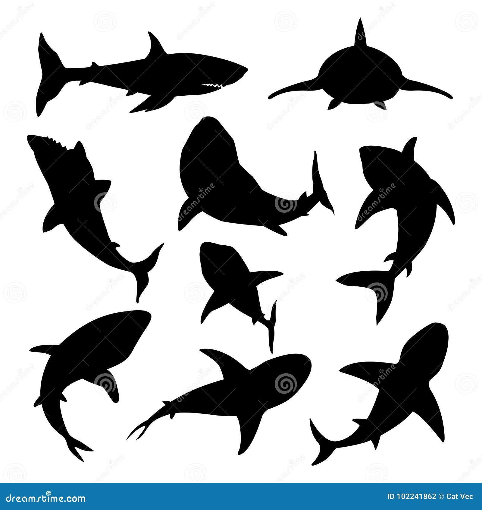 Download Vector Illustration Toothy Swimming Angry Shark Stock ...