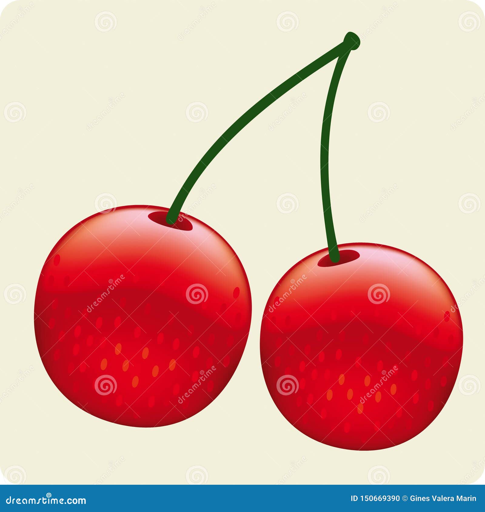 Vector Illustration of Two Joined Cherries Isolated Stock Vector