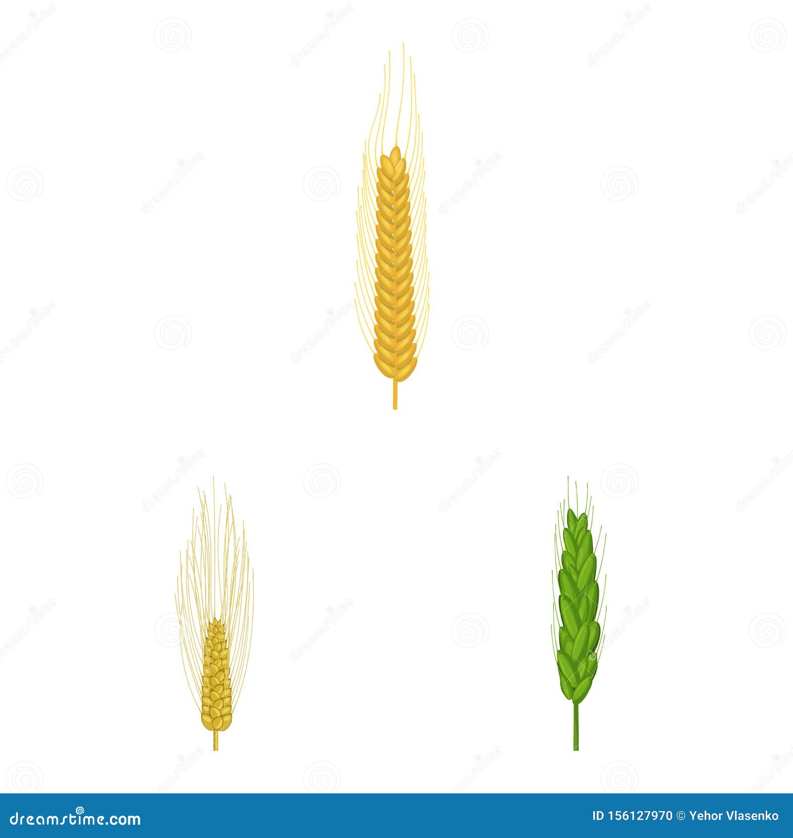 Vector Design of Wheat and Corn Symbol. Collection of Wheat and Harvest ...