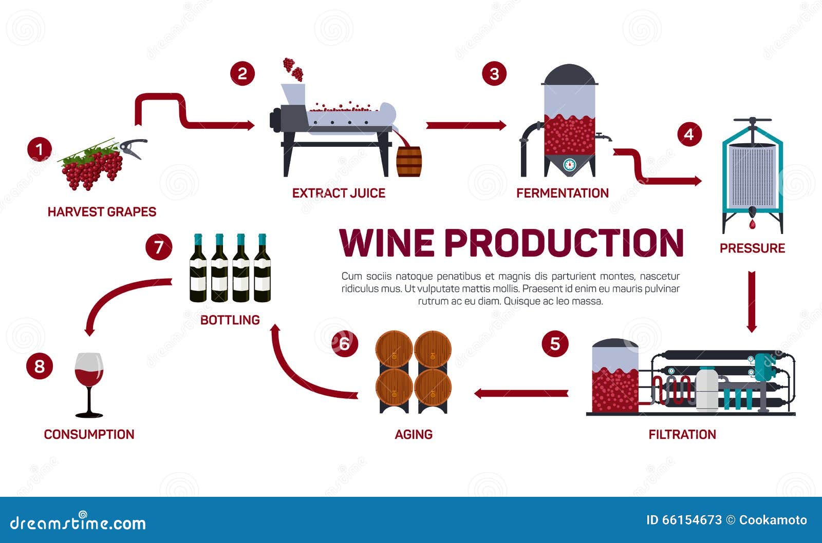 Wine And Wine Making Set Vector Illustrations CartoonDealer 82732580 warner-bros-studio-tour-tokyo-the-making-of-harry-potter-to-open-in