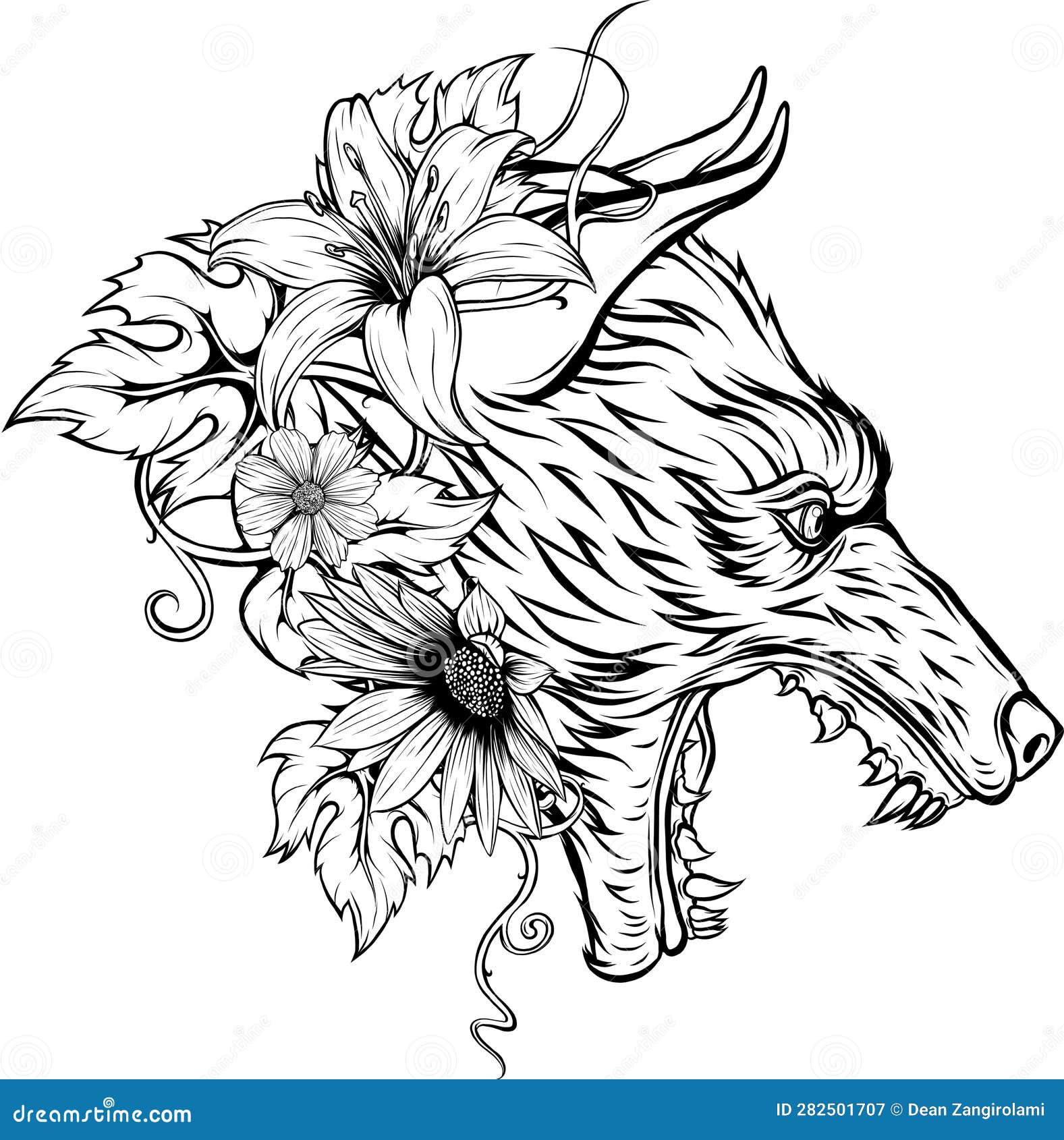 Vector Illustration of Wolf Head. Outlined Drawing. Stock Vector ...