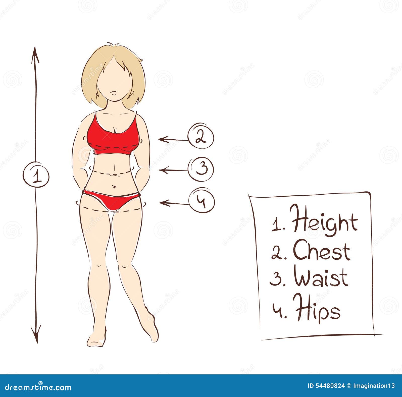 Element Clothing Size Chart