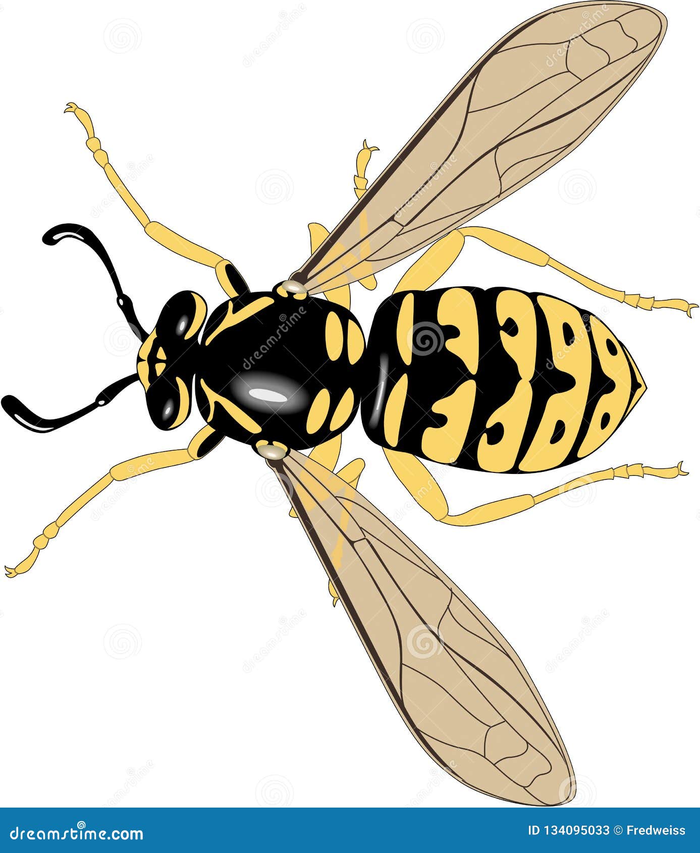Insect Yellowjacket Vector Icon.Black Vector Logo Isolated On White