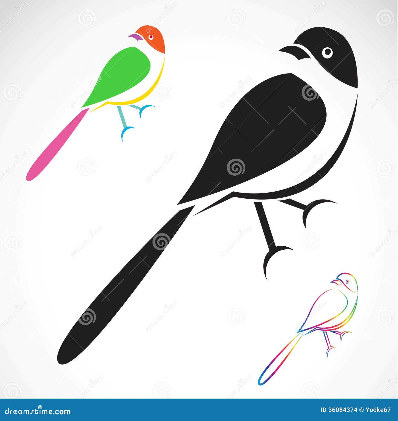 Vector image of an bird stock vector. Illustration of dove - 36084374