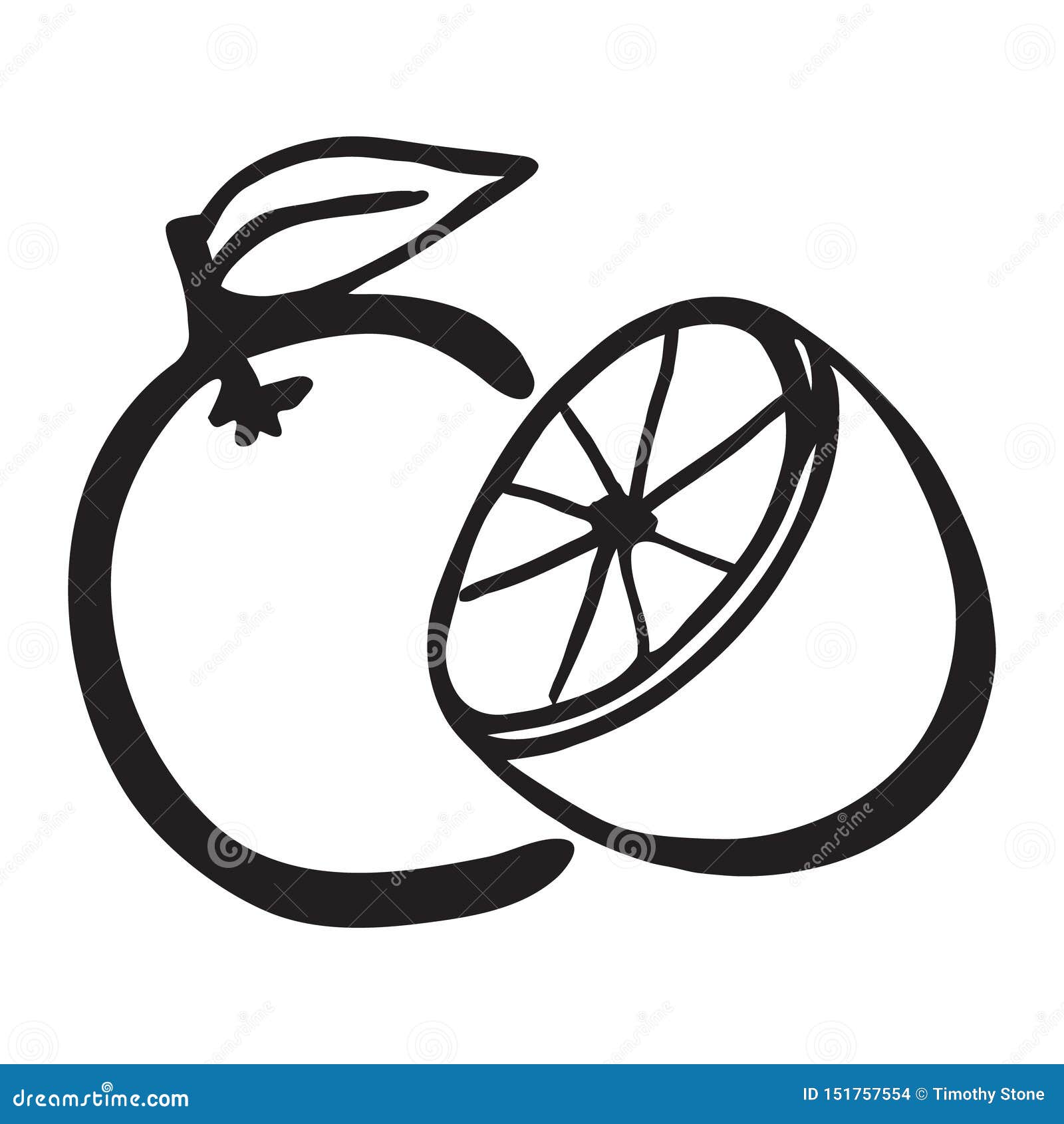 Vector Image of Black and White Oranges Stock Vector Illustration of