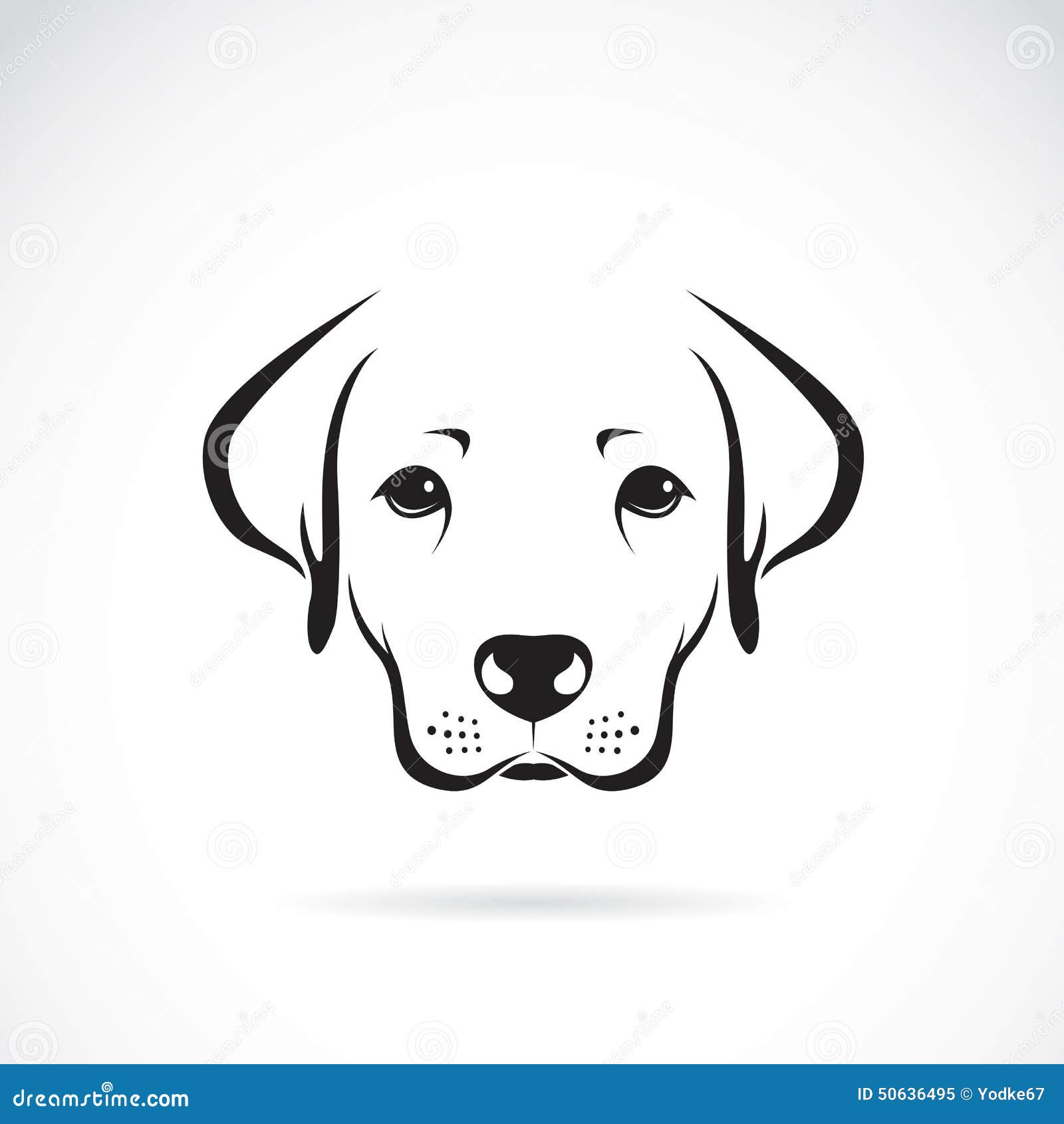 Vector Image Of An Dog Labrador Stock Vector - Image: 50636495