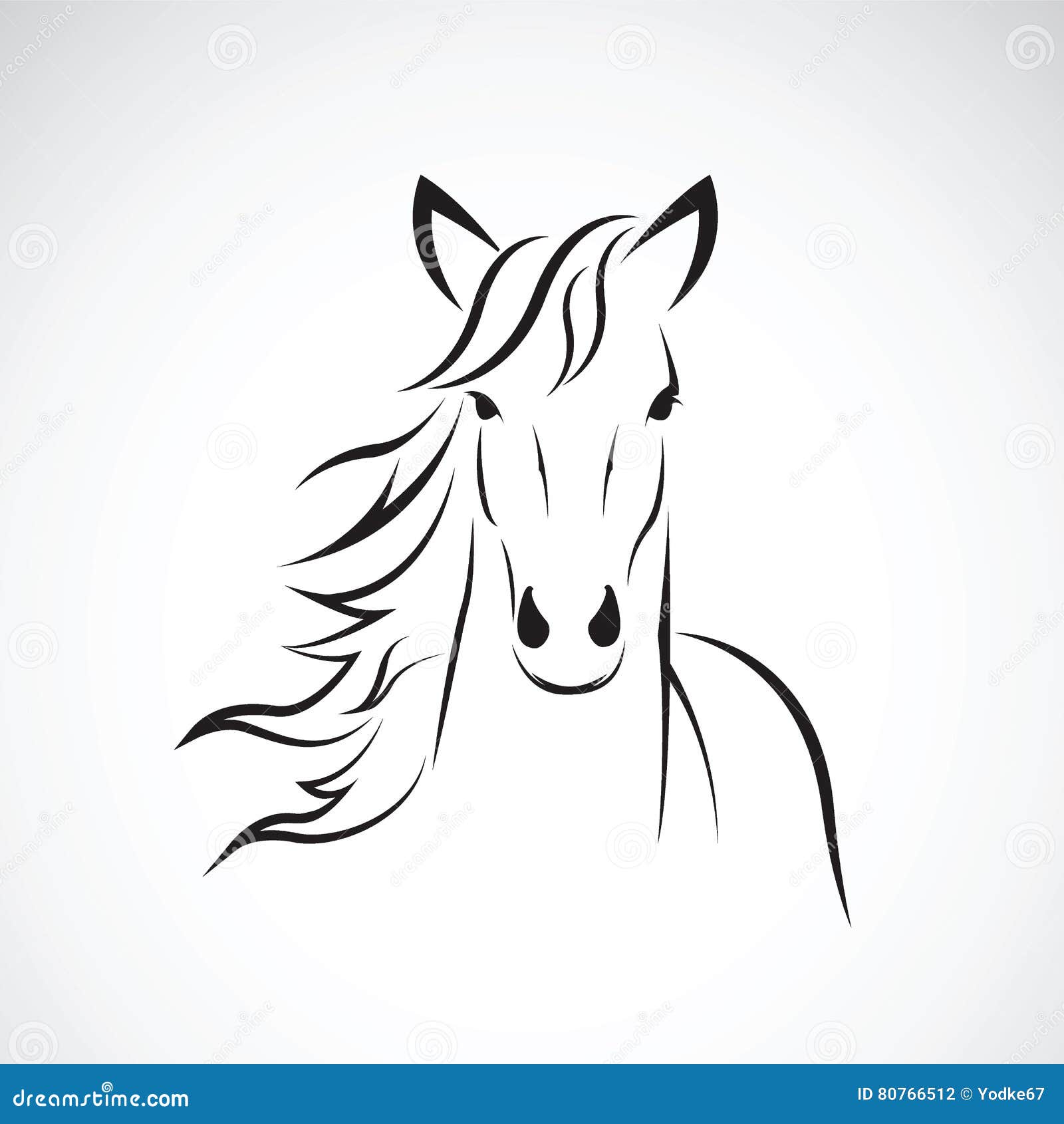 Vector of a horse head on white background. Wild Animal