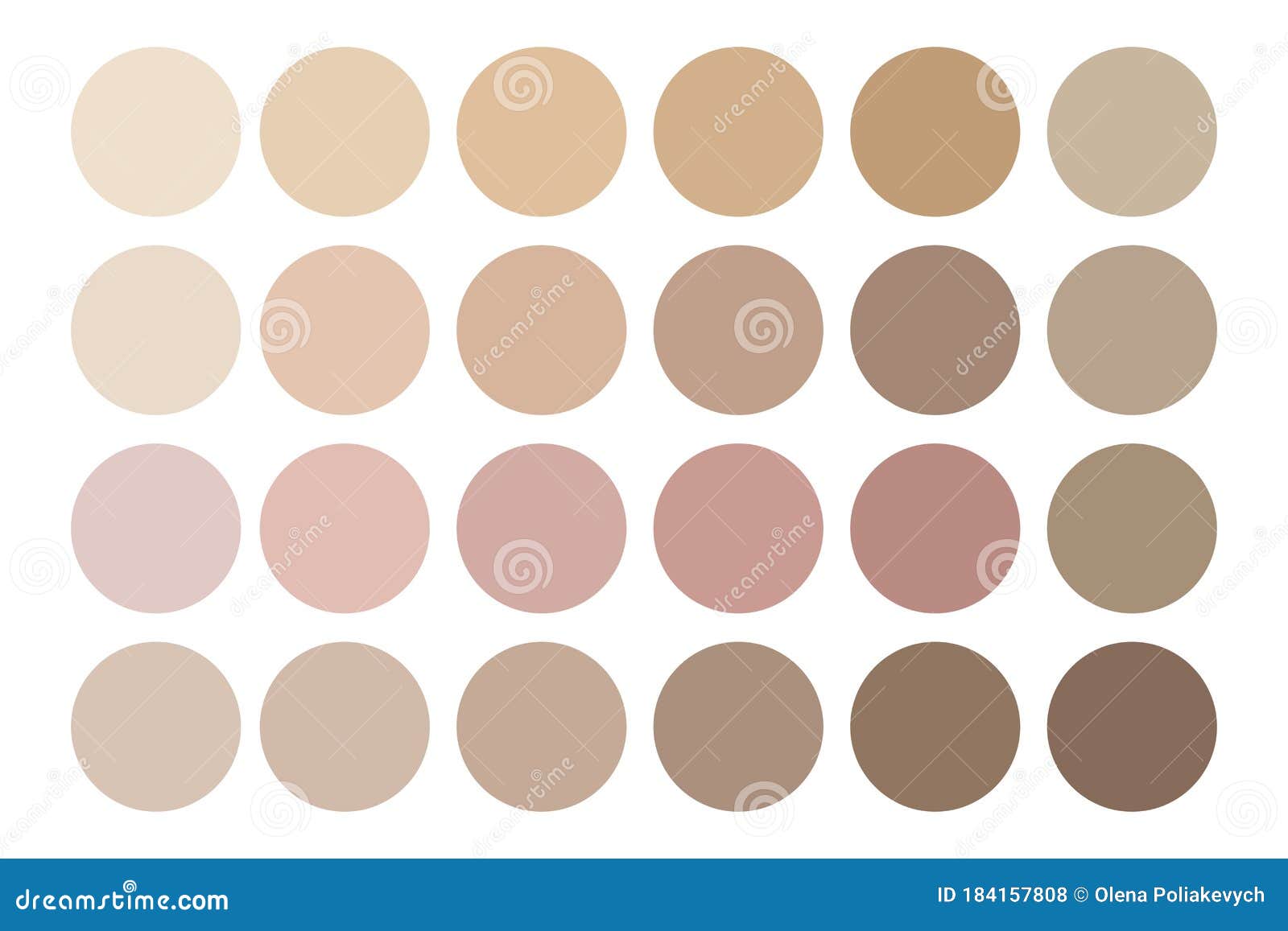 Vector Image of Human Skin Tones. Color Palette of Body Creams. Stock ...