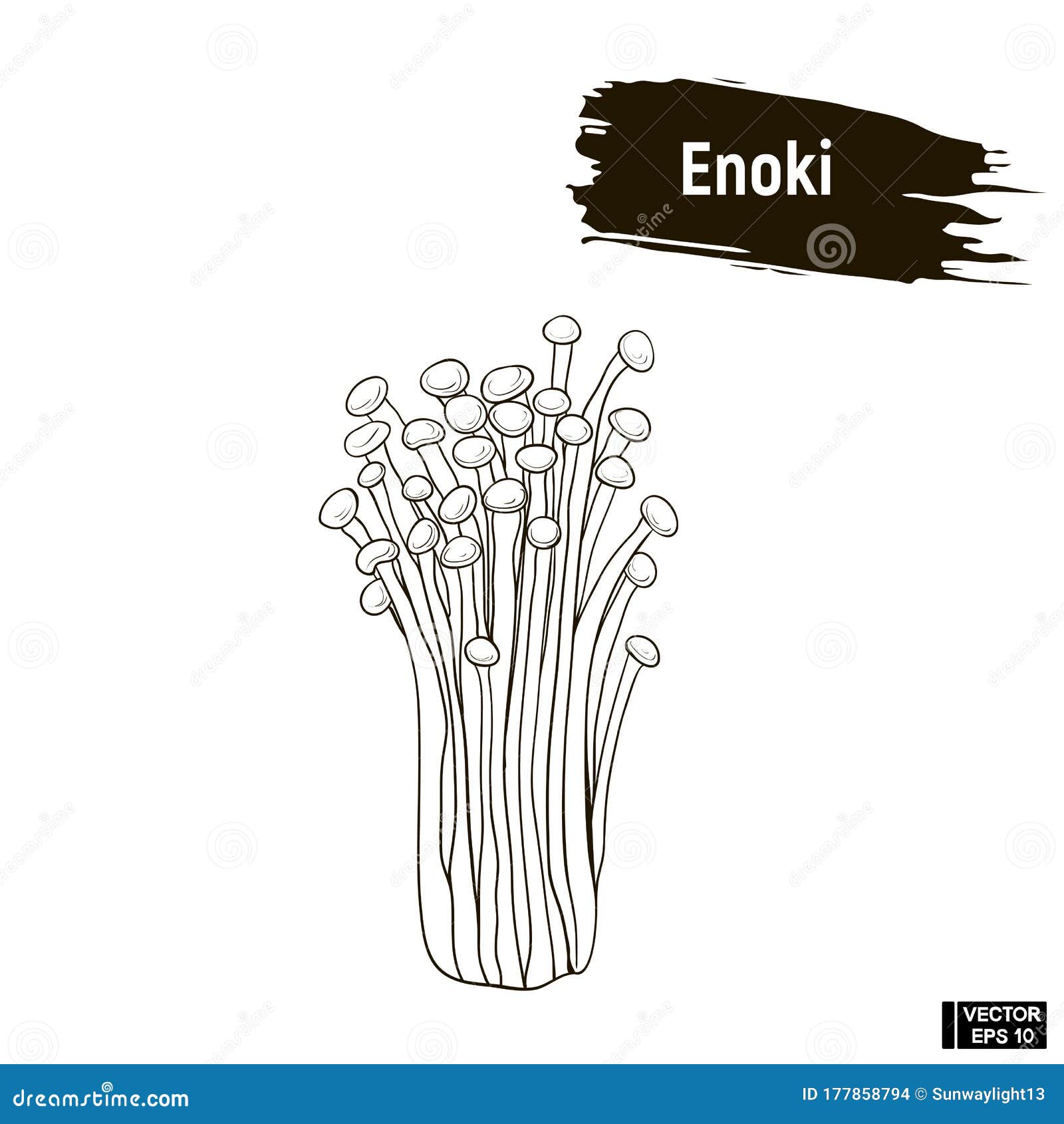 Outline Mushrooms, Enoki Sketch Stock Vector - Illustration of autumn ...