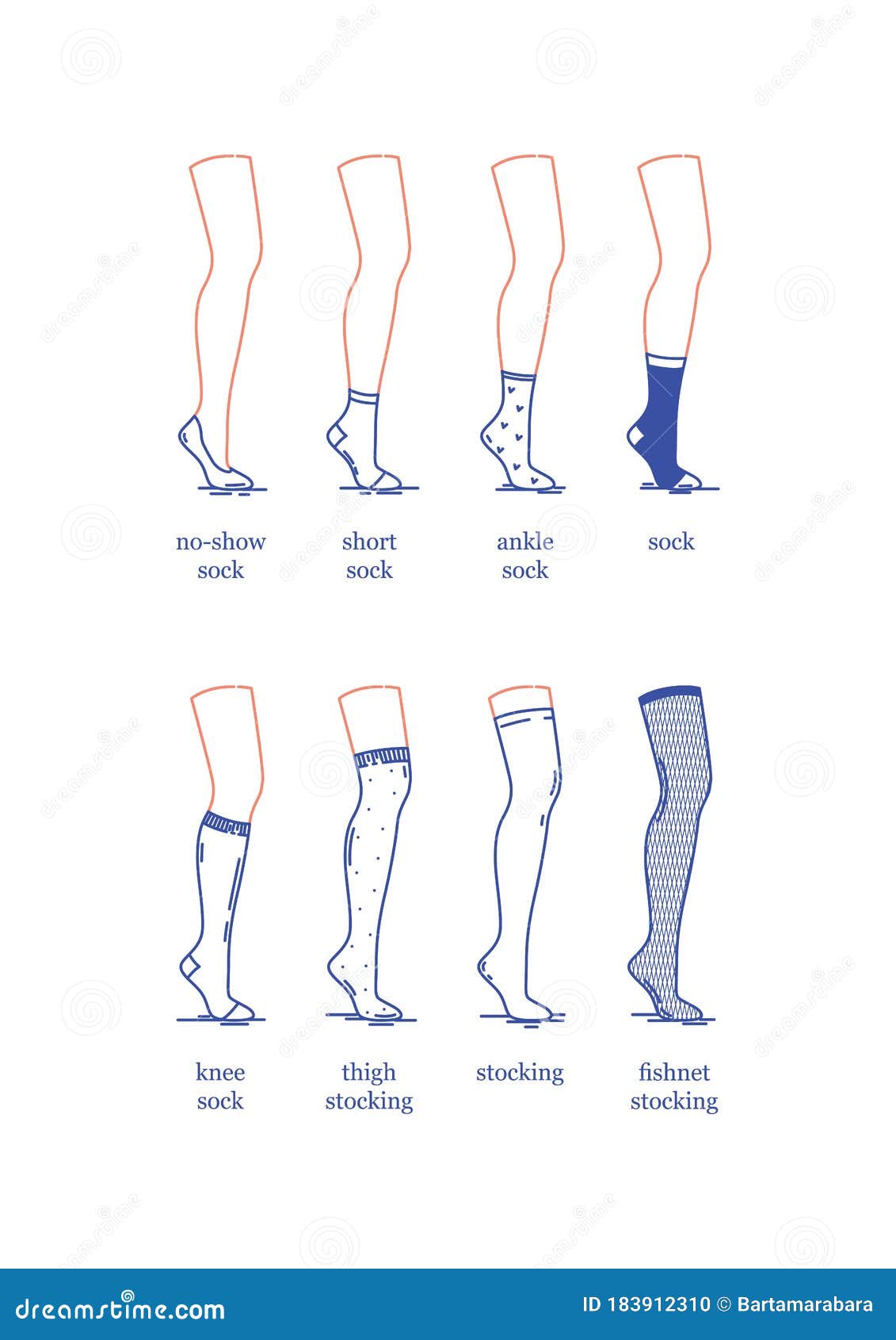 Vector Image. a Set of Female Socks and Stockings of Different Lengths ...