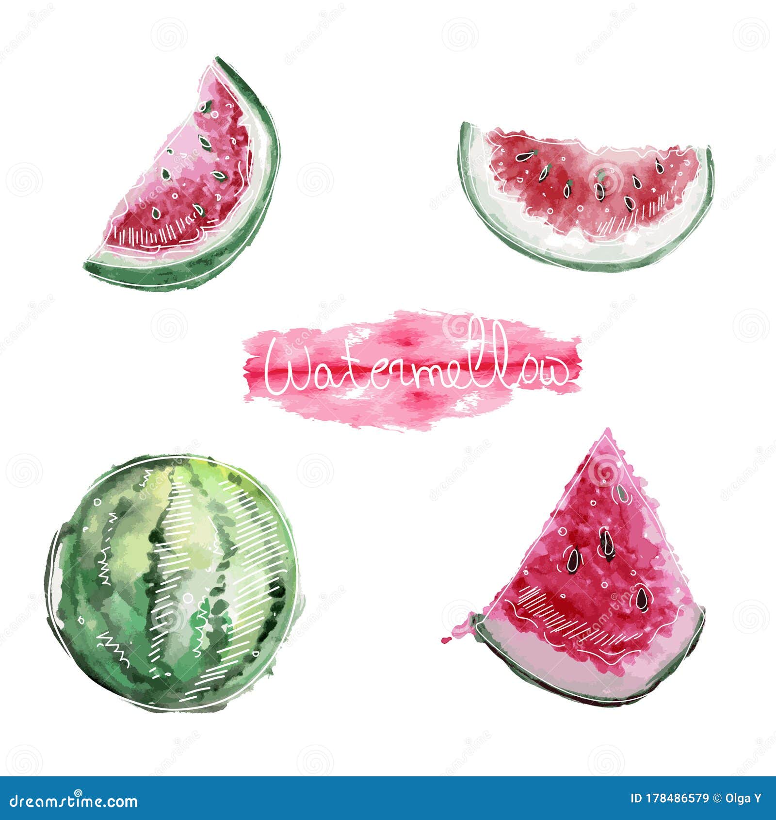 Vector Image of a Watermelon and Halves of a Watermelon Drawn in Lines