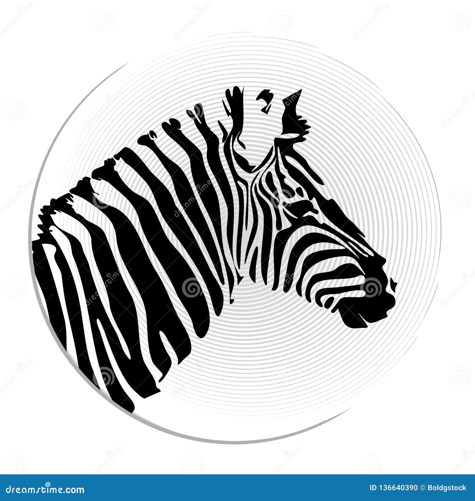 Vector Image of an Zebra Head Stock Vector - Illustration of symbol ...