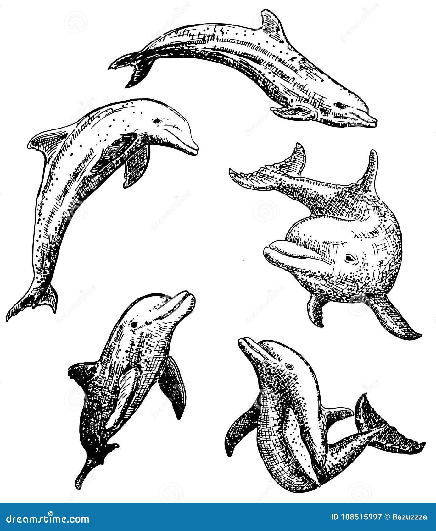 Vector Ink Hand Drawn Dolphin Icon Set Stock Vector Illustration of