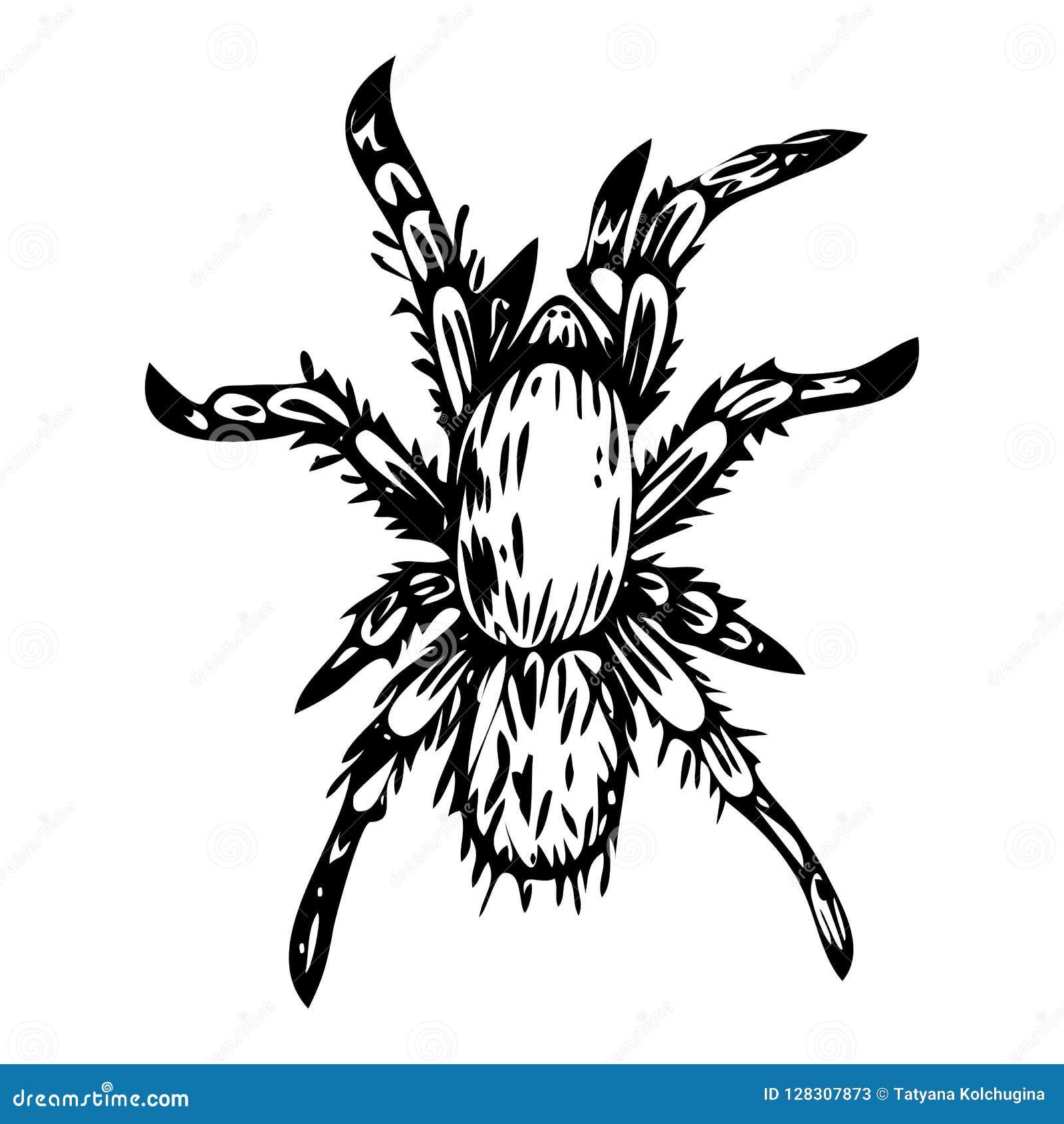 Vector Ink Illustration of Spider Stock Vector - Illustration of print ...