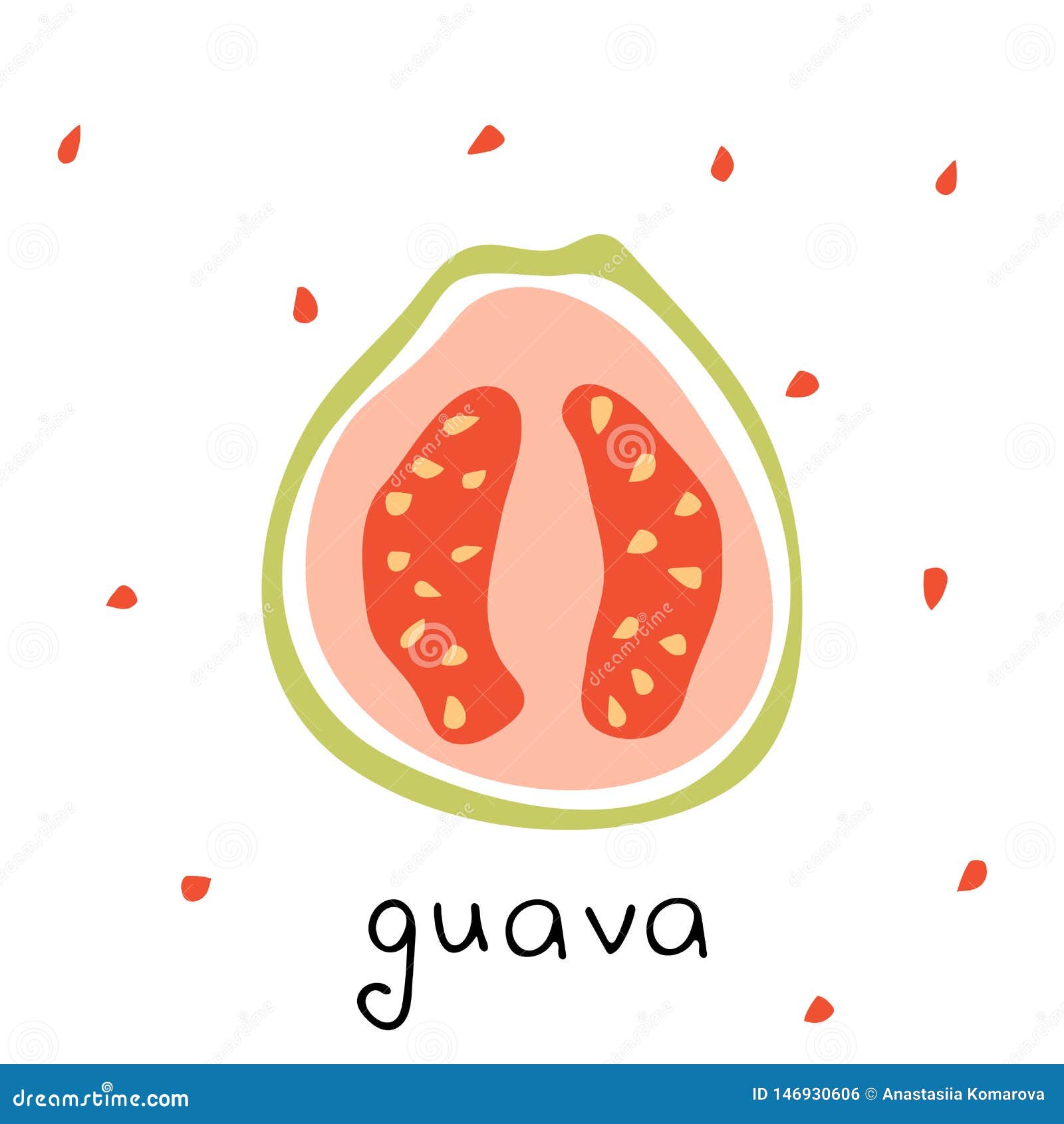 Featured image of post Drawing Of Guava Fruit The term guava also is used for the fruit which is a true berry