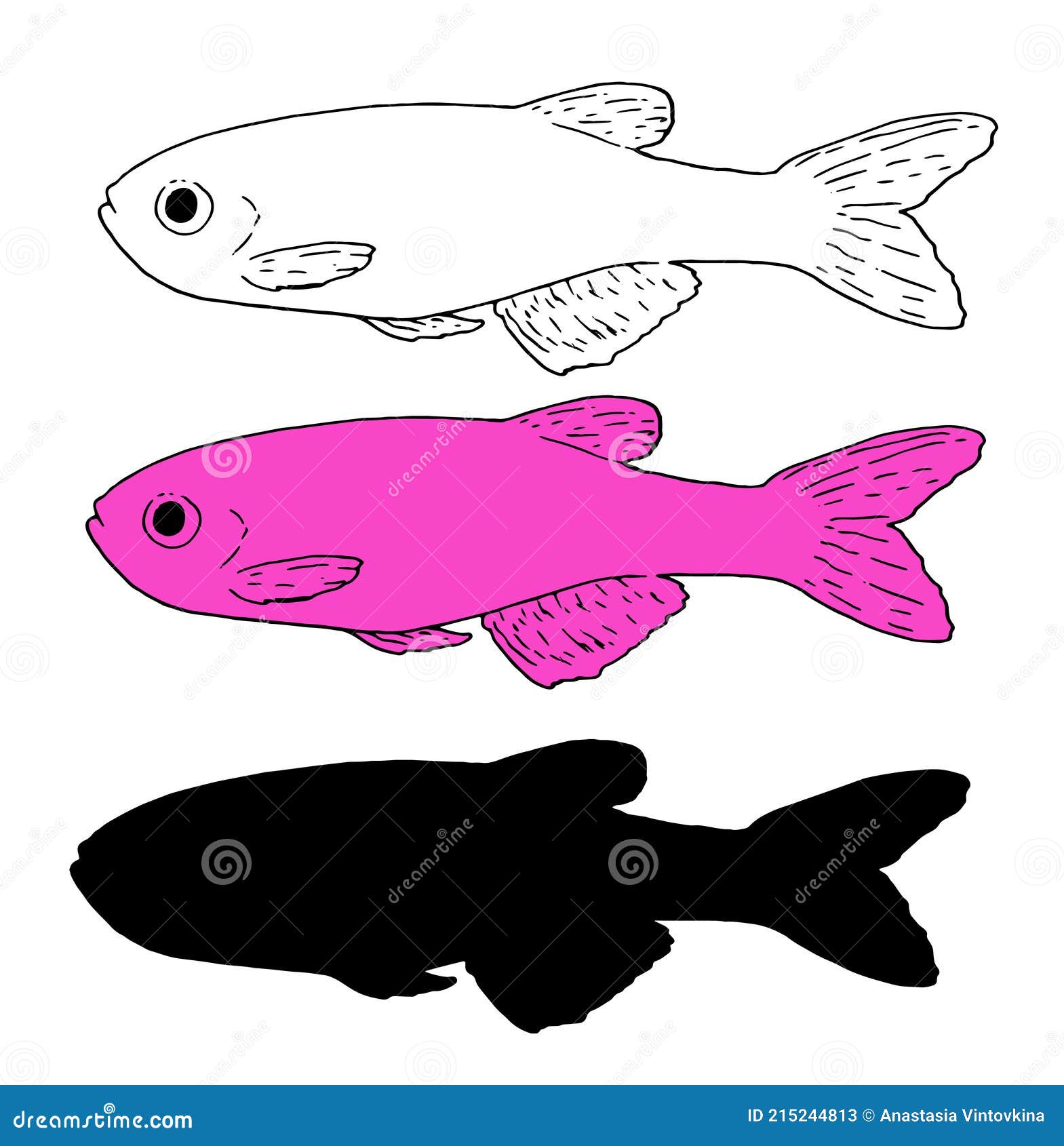 Vector Isolated Sketch Set, Black Silhouette and Color Image of Pink  Aquarium Fish Danio Glofish, Great Design for Any Purpose. Stock Vector -  Illustration of pink, market: 215244813