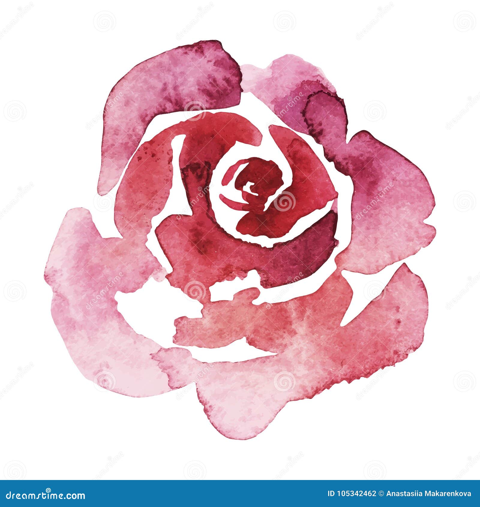 Vector L Acquerello Della Rosa Di Rosa Dipinto A Mano Isolato Su Bianco Biglietto Di S Valentino Illustrazione Vettoriale Illustrazione Di Invito Vernice 105342462
