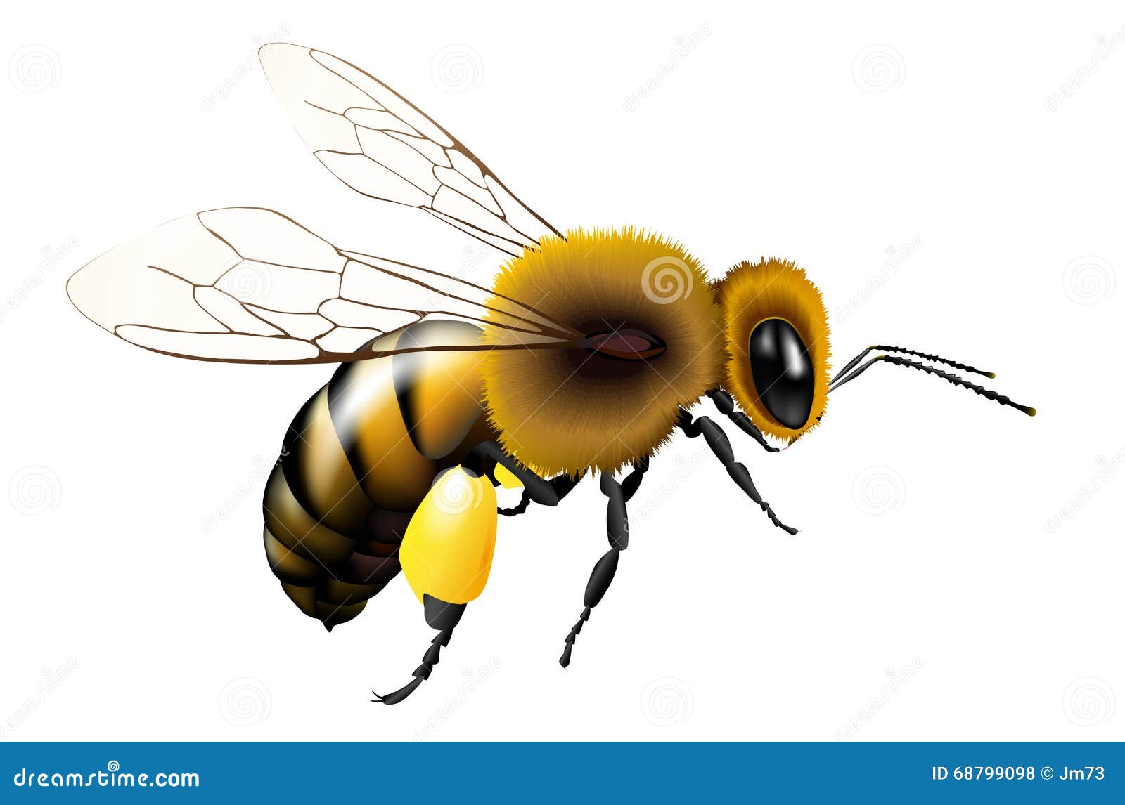 Vector La Abeja Con Las Alas Transparentes Para Cualquier Fondo Ilustración del Vector - Ilustración de granja, trabajador: 68799098 Vector La Abeja Con Las Alas Transparentes Para Cualquier Fondo Ilustración del Vector - Ilustración de granja, trabajador: 68799098