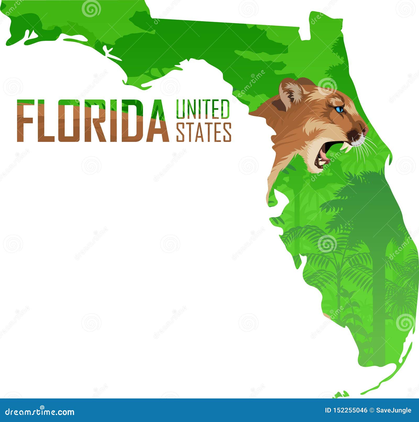 Vector Florida - Mapa Del Estado Americano Con El Puma Del Puma O El León De Montañas Ilustración del Vector - Ilustración de asesino, palma: 152255046
