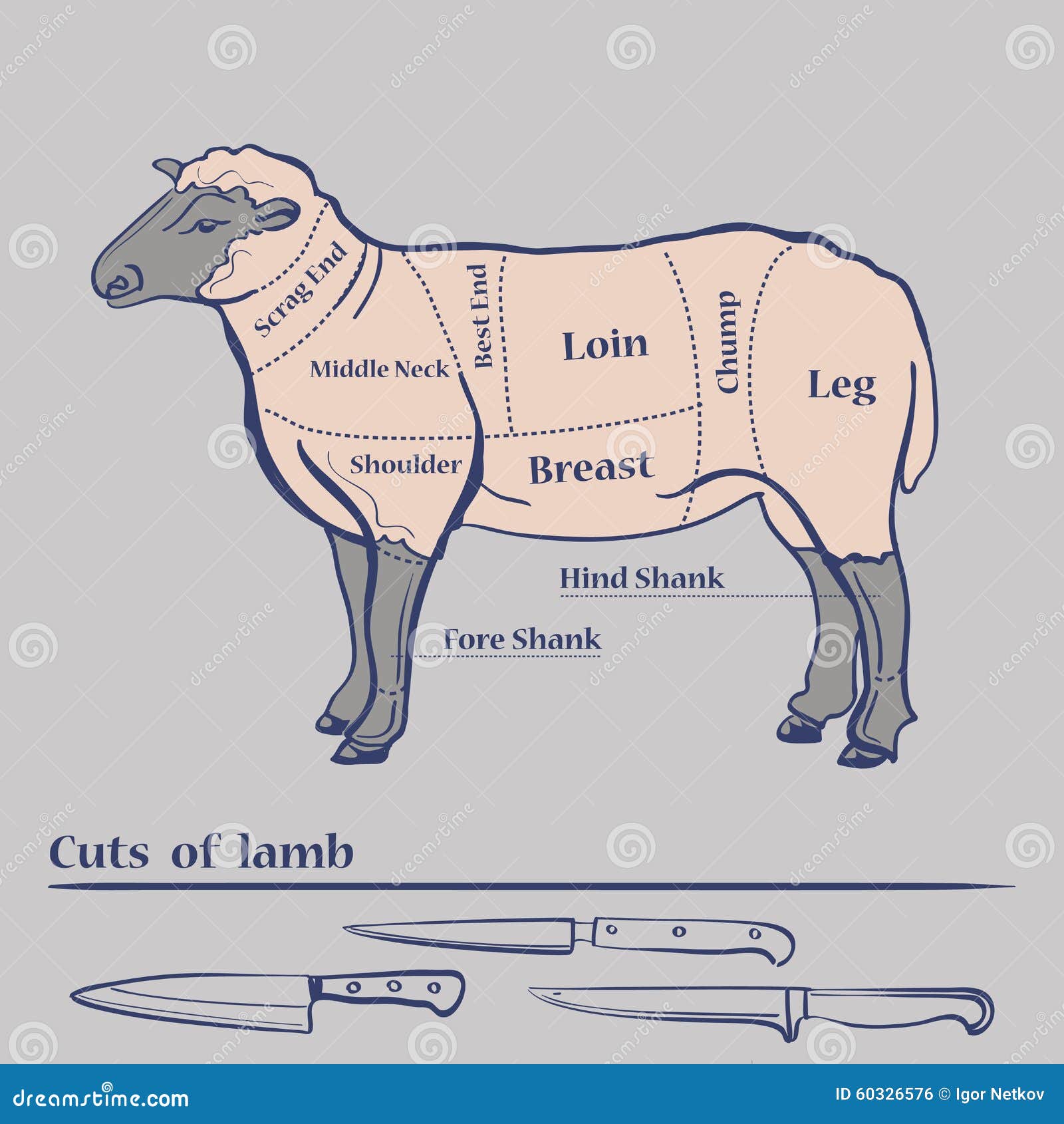 Cuts Of Mutton Chart