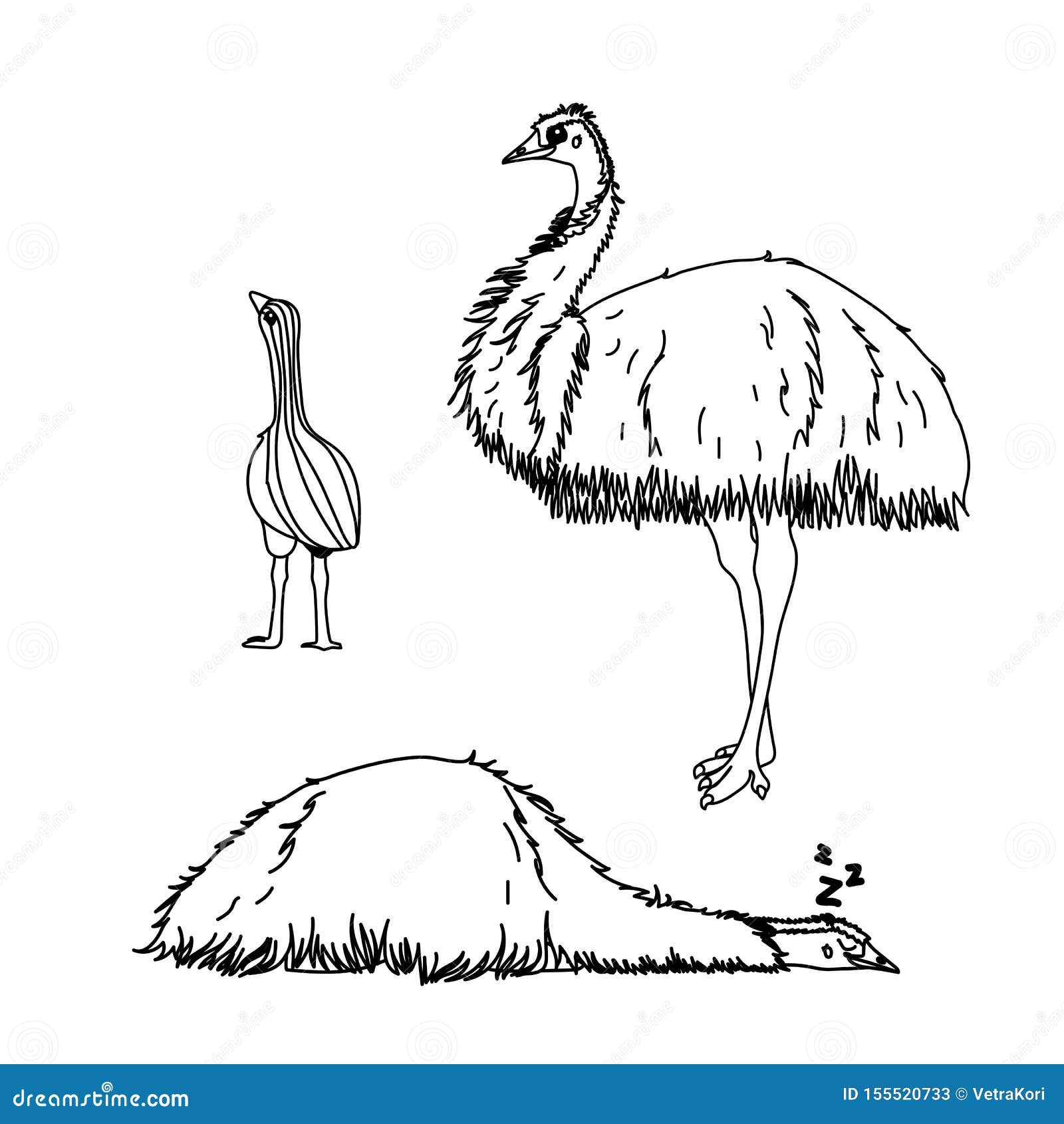 Download Funny Cartoon Emu. Coloring Book Vector Illustration ...