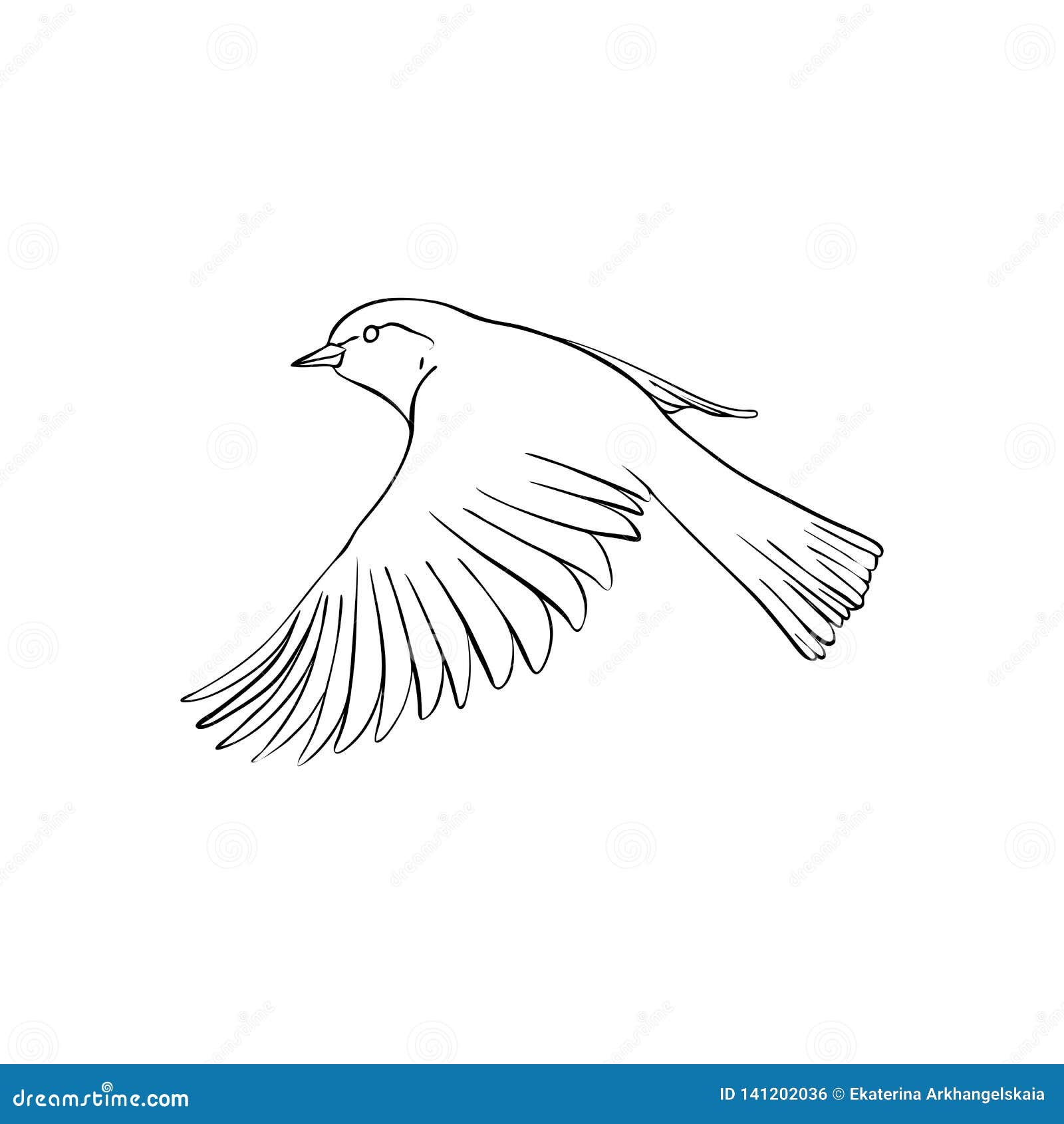 Vector Flying Bird Stock Vector Illustration Of Background Vector Flying Bird Stock Vector Illustration Of Background
