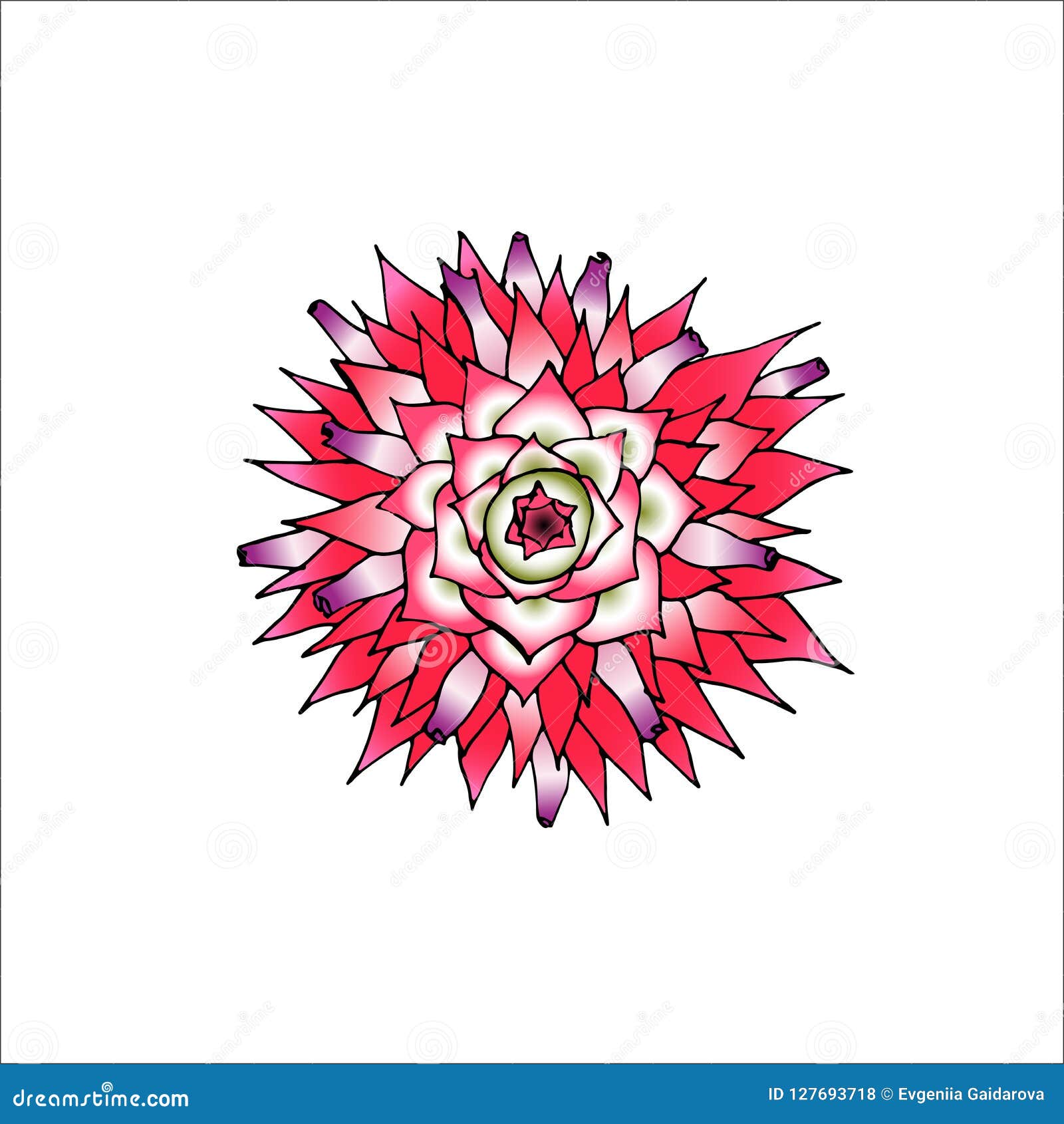 Download Vector Illustration Of Pineapple Flower On White Background Stock Illustration - Illustration of ...