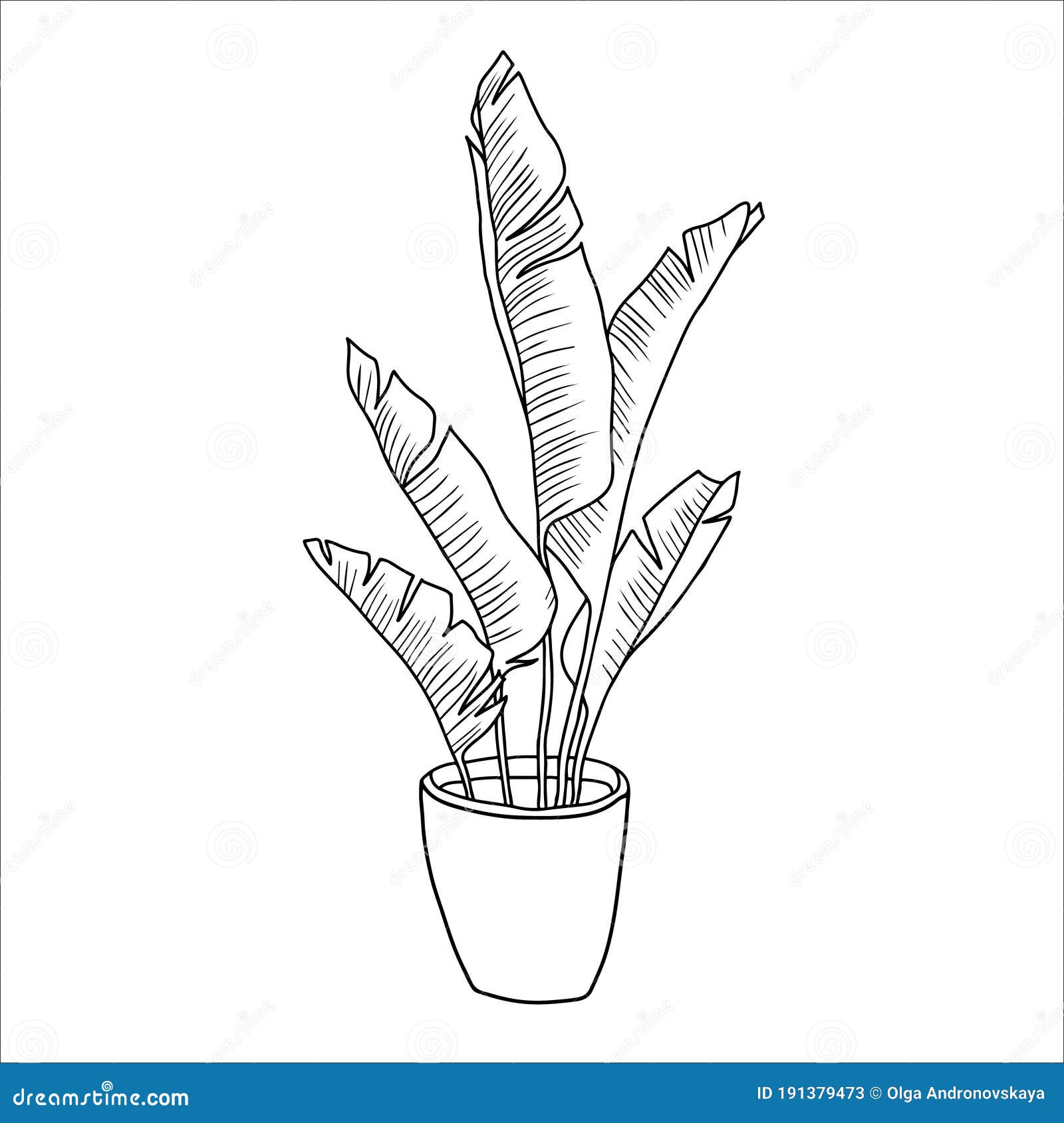Vector sketch of a house plant Drawing by hand 7504694 Vector Art at  Vecteezy