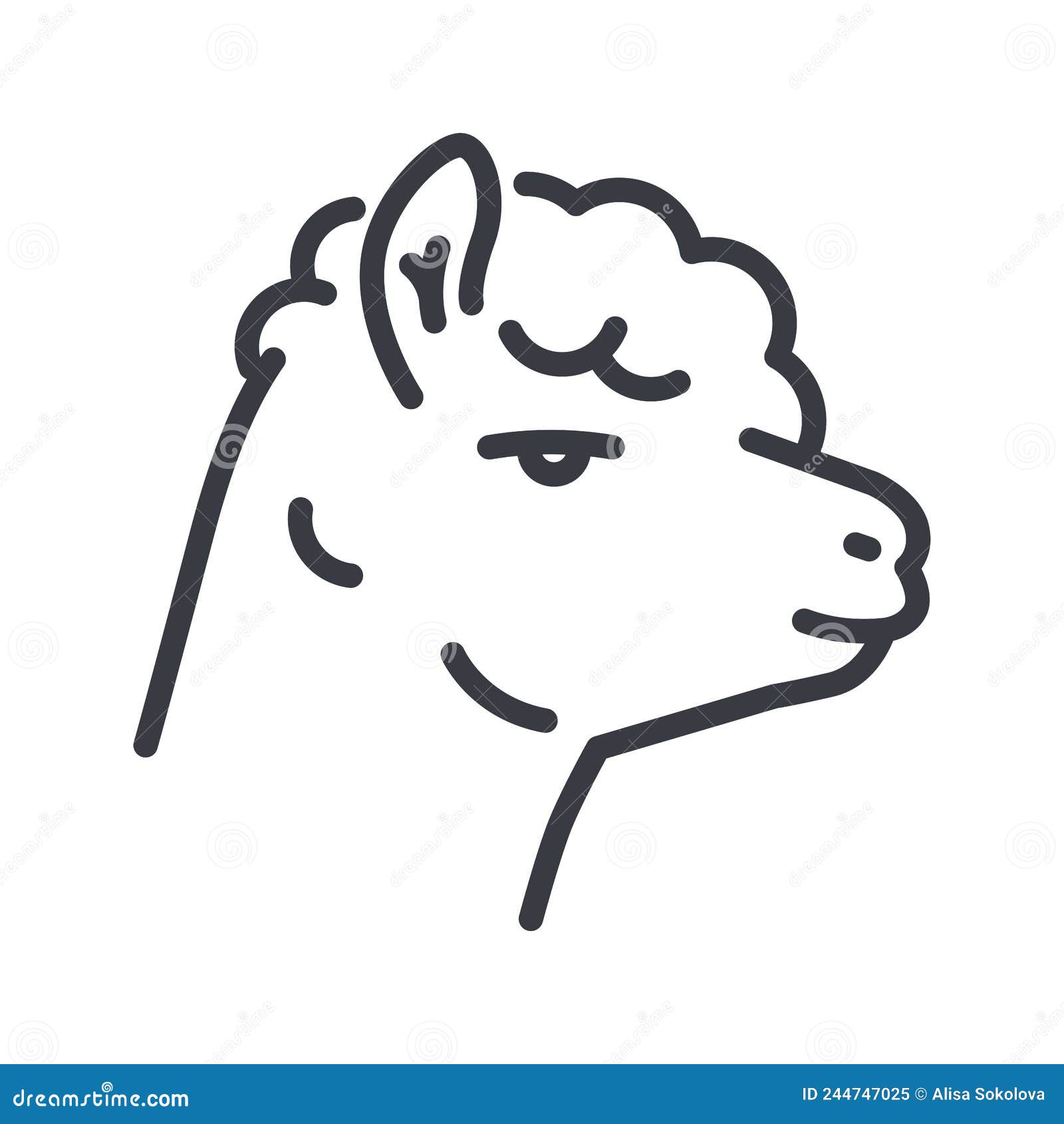 Alpaca, Isolated, Animal, Nature, Mammal - Lama Face, HD Png Download -  960x640(#888659) - PngFind