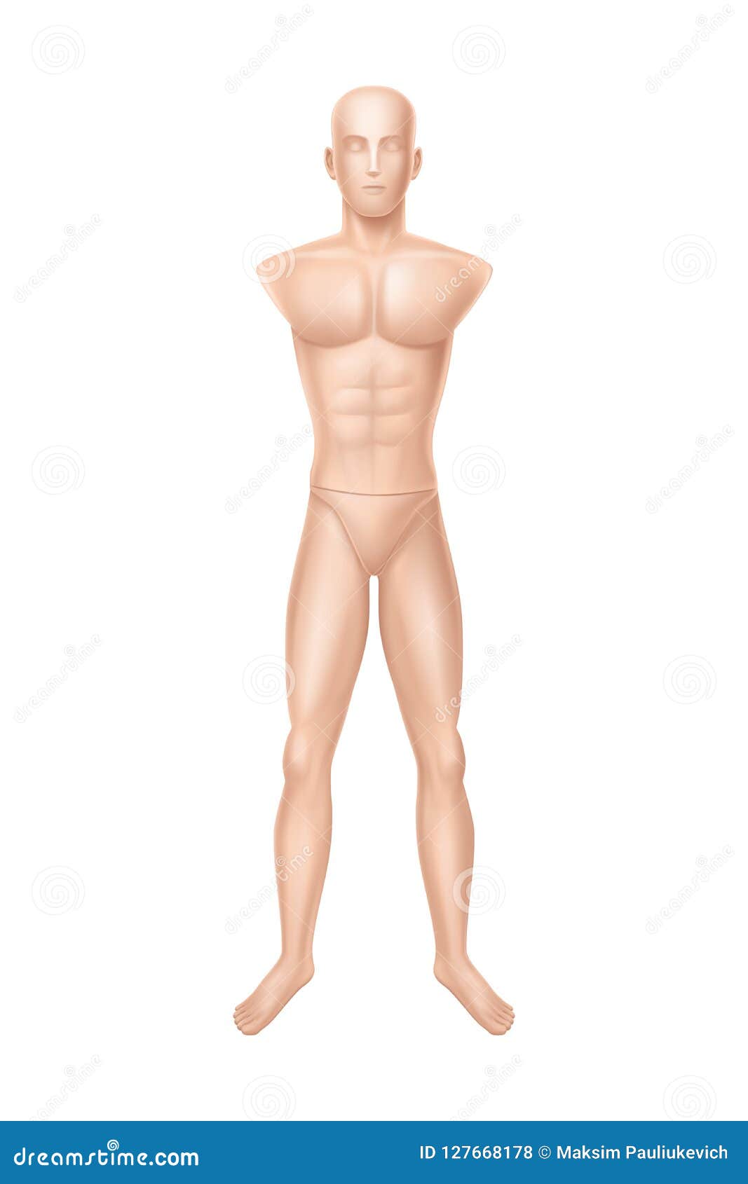 Body mannequins realistic set Royalty Free Vector Image