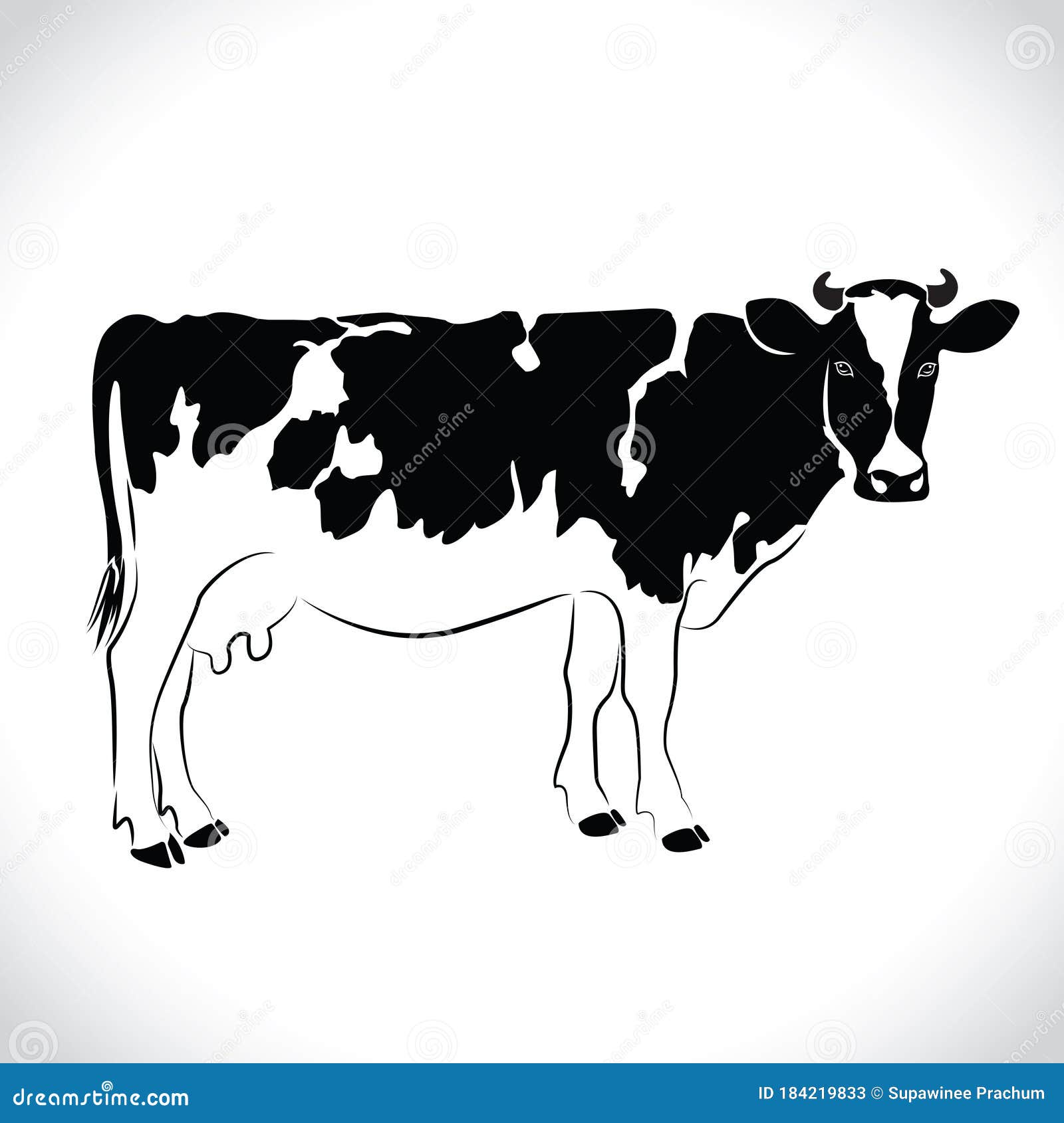 dairy cow vector